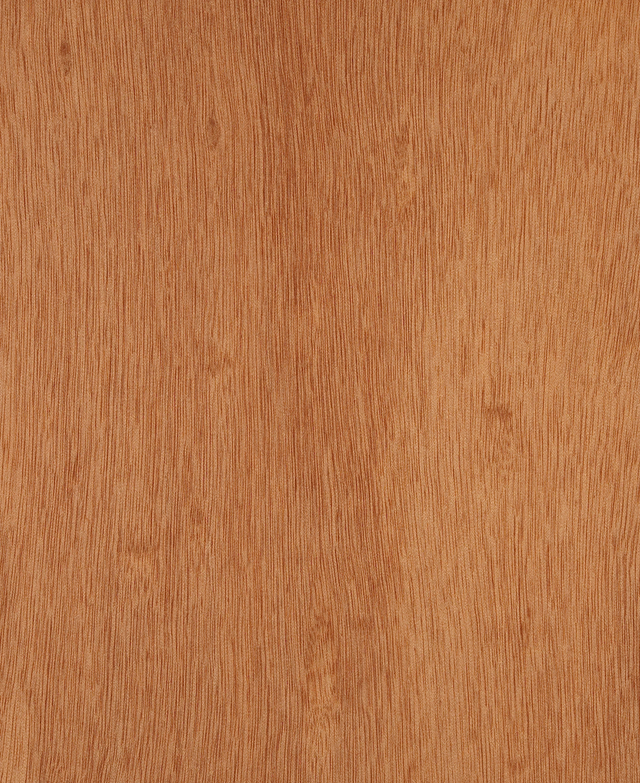 picture alternative text