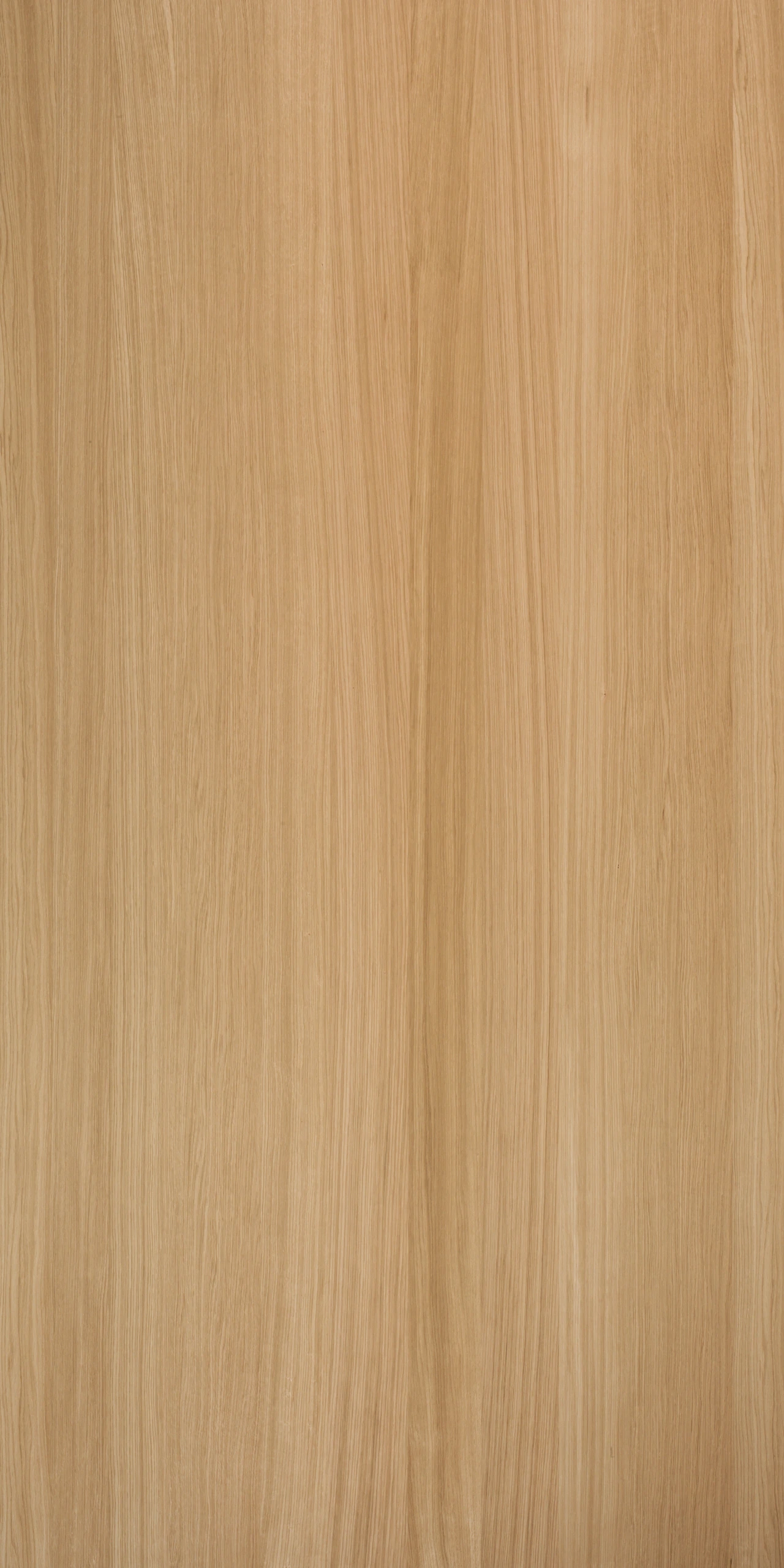 picture alternative text