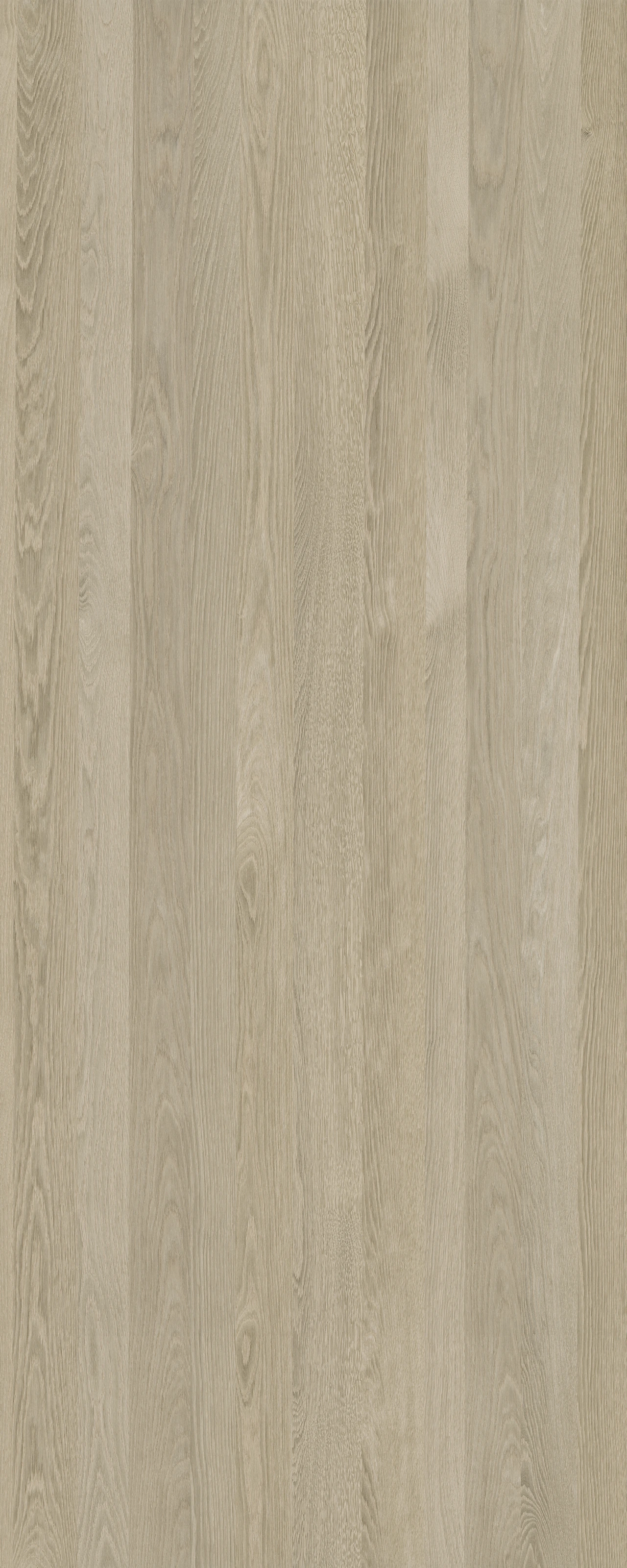 picture alternative text