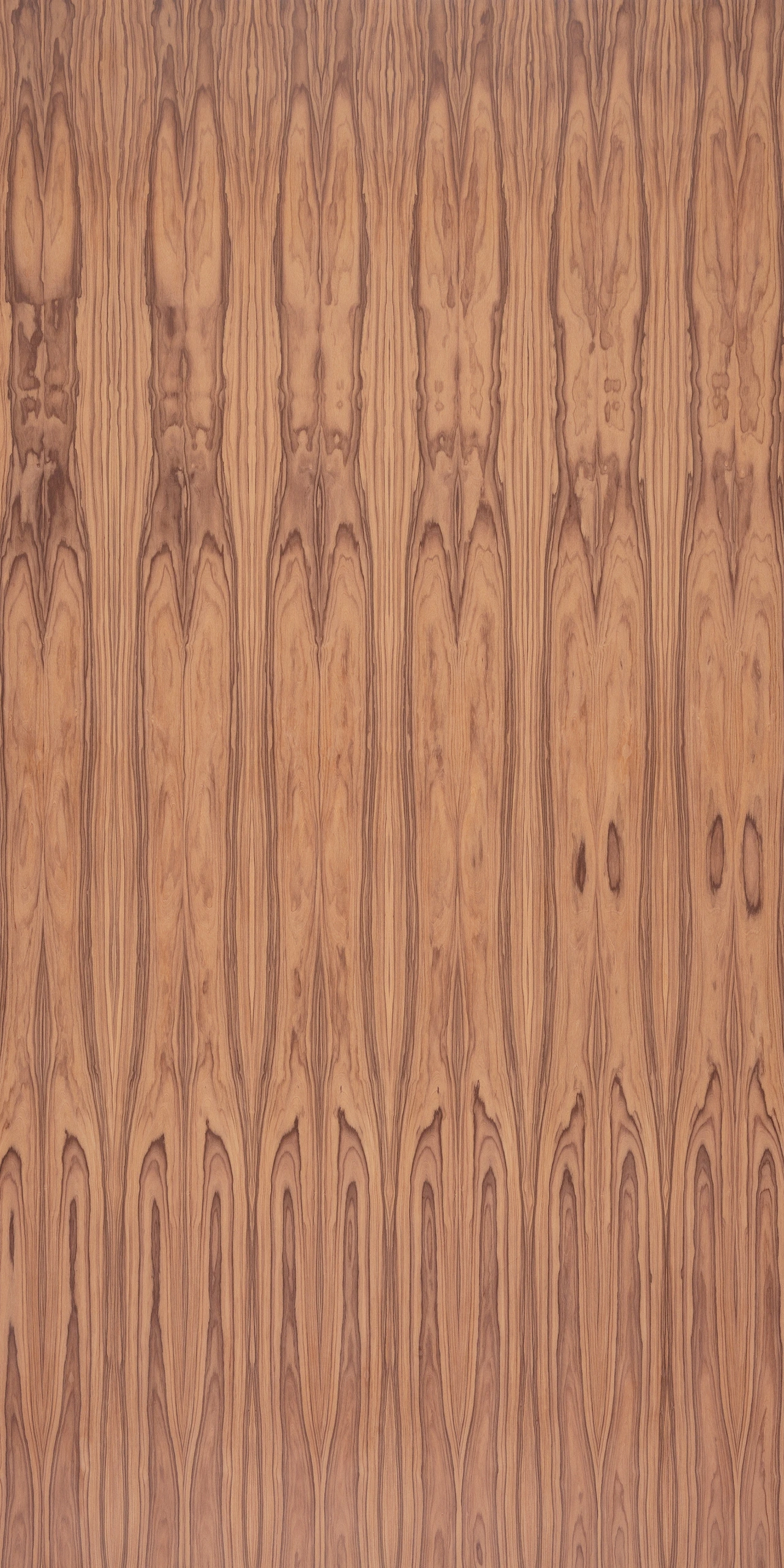 picture alternative text