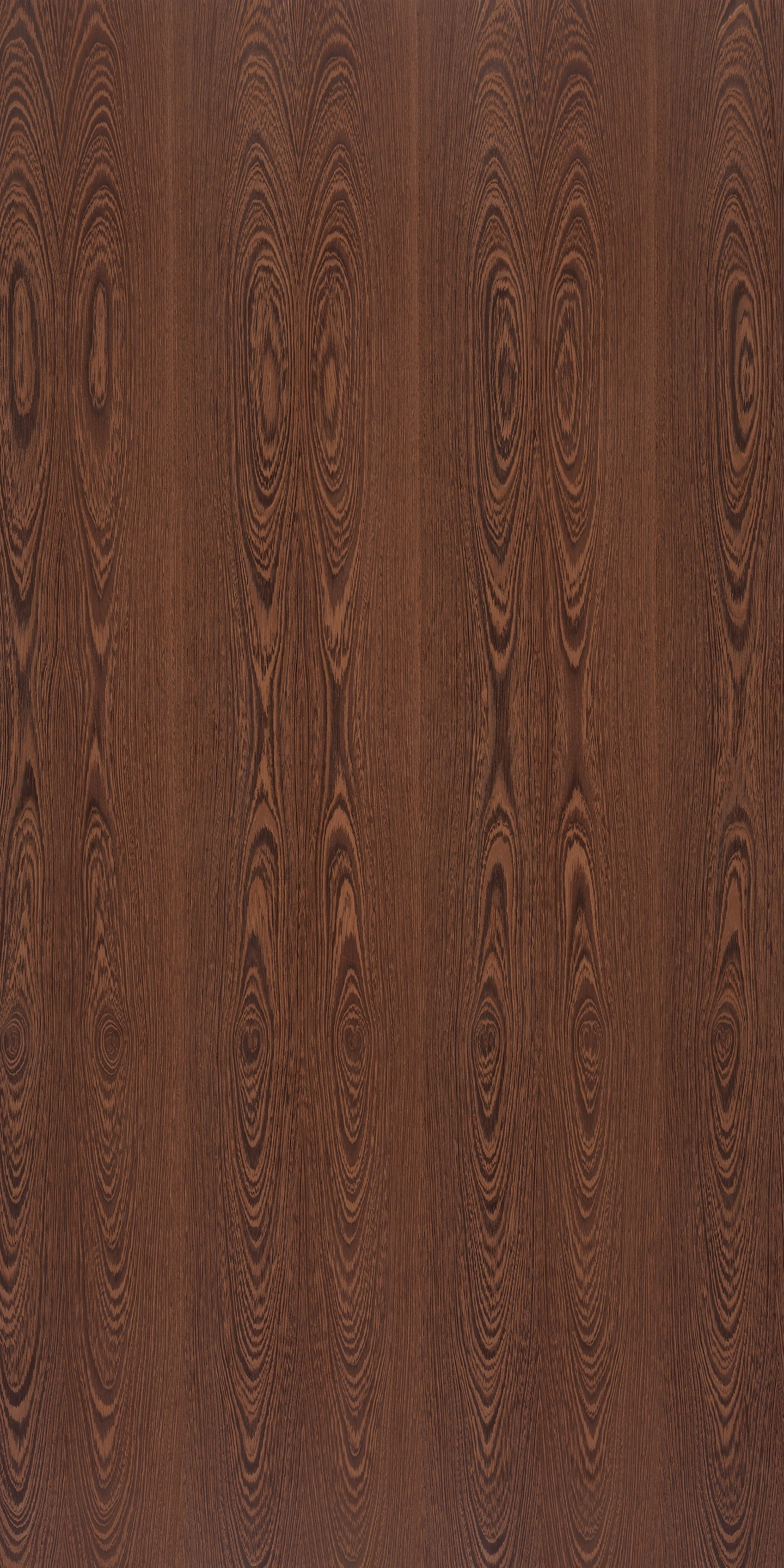 picture alternative text