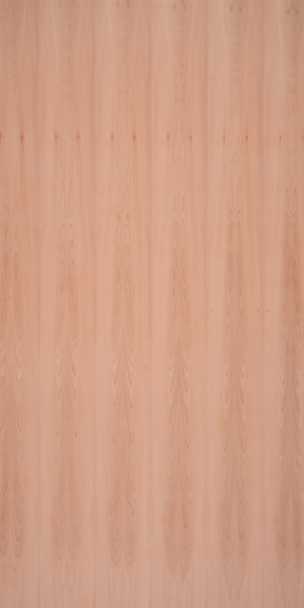 picture alternative text