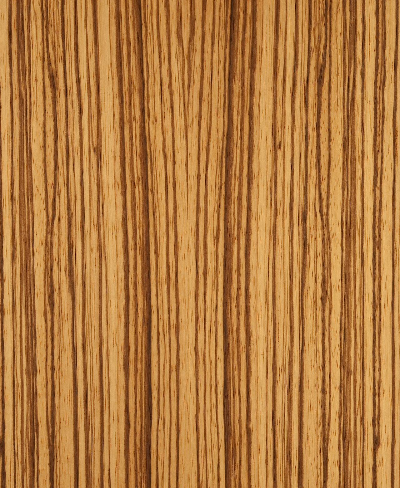 picture alternative text