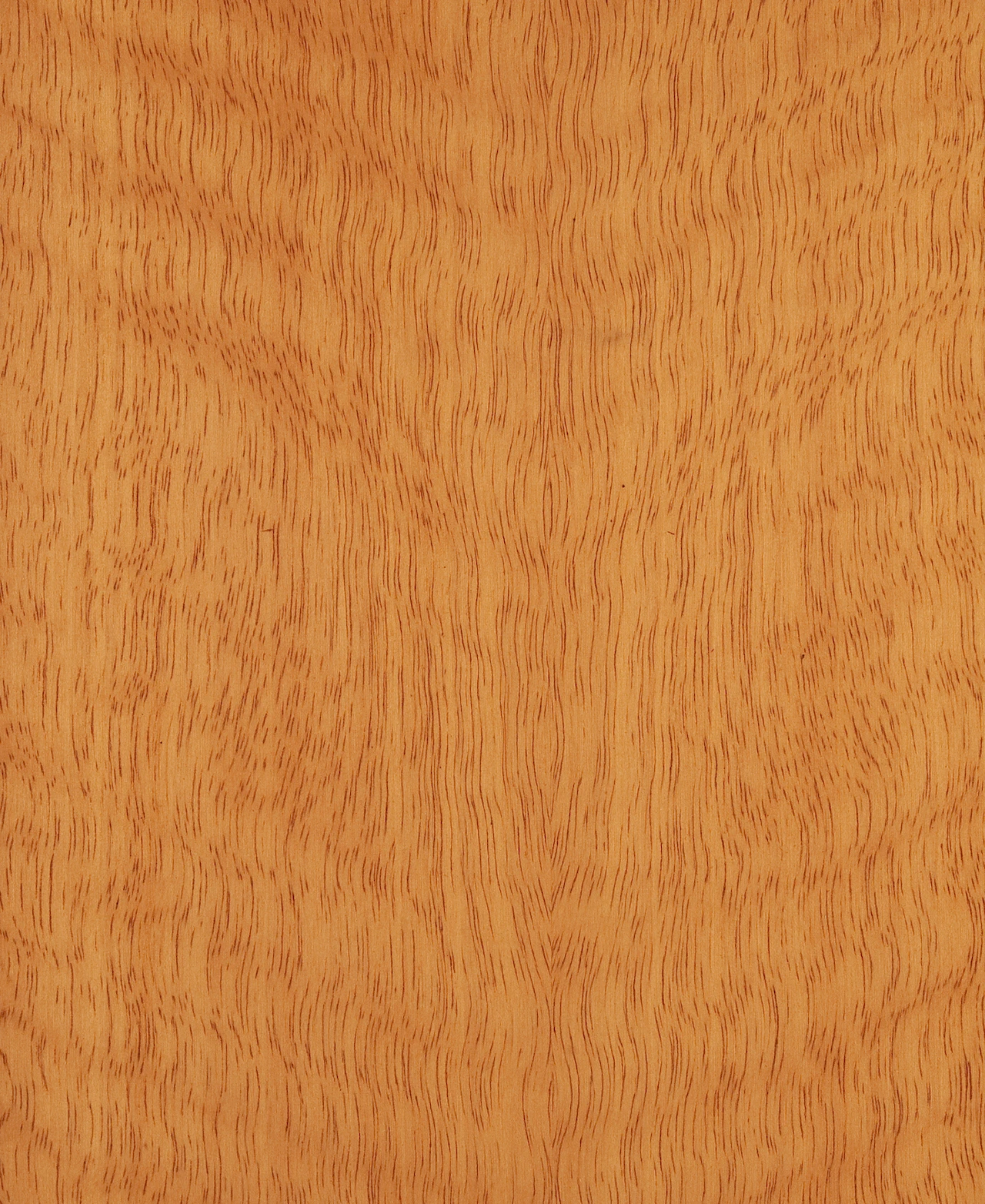 picture alternative text