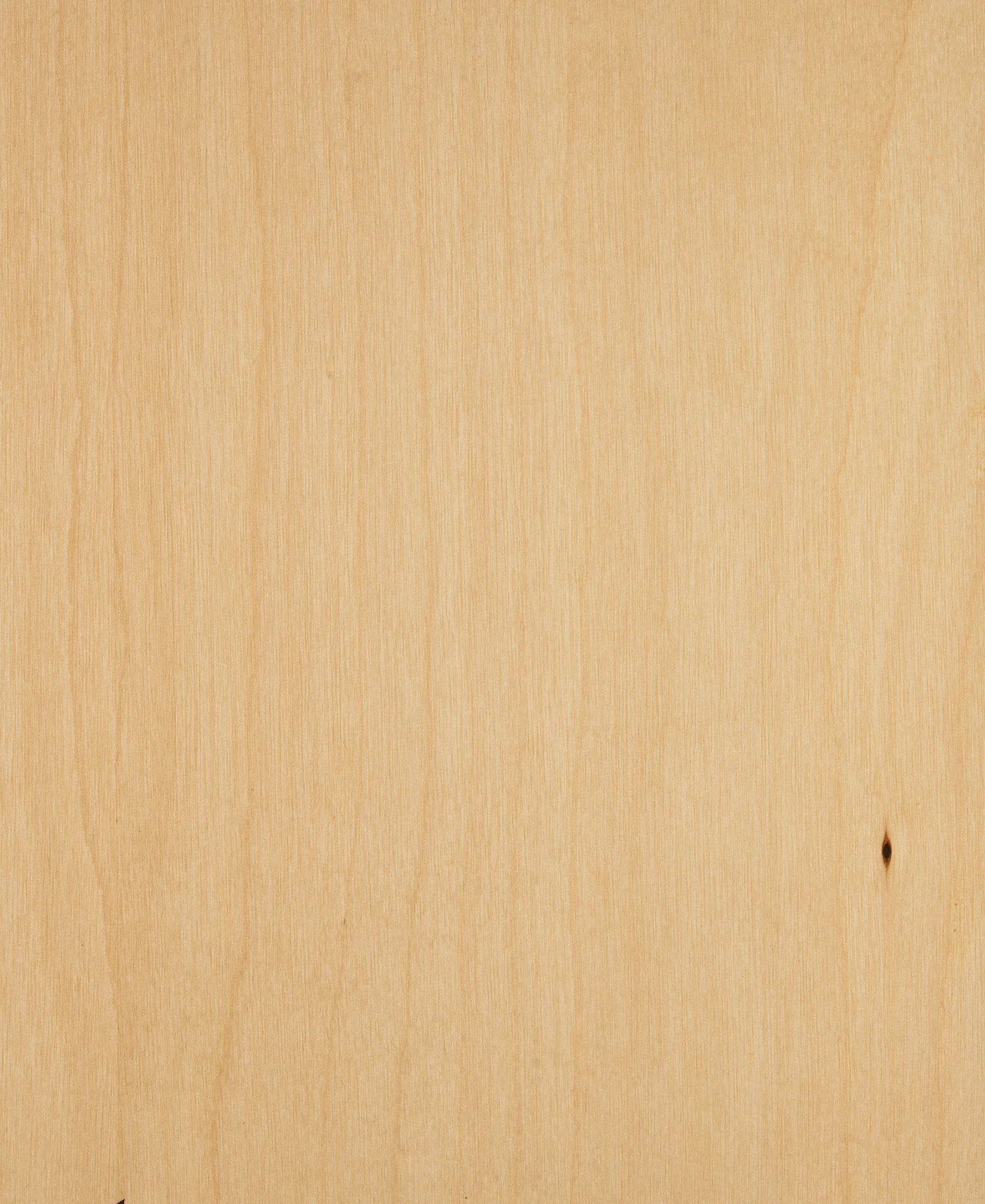 picture alternative text