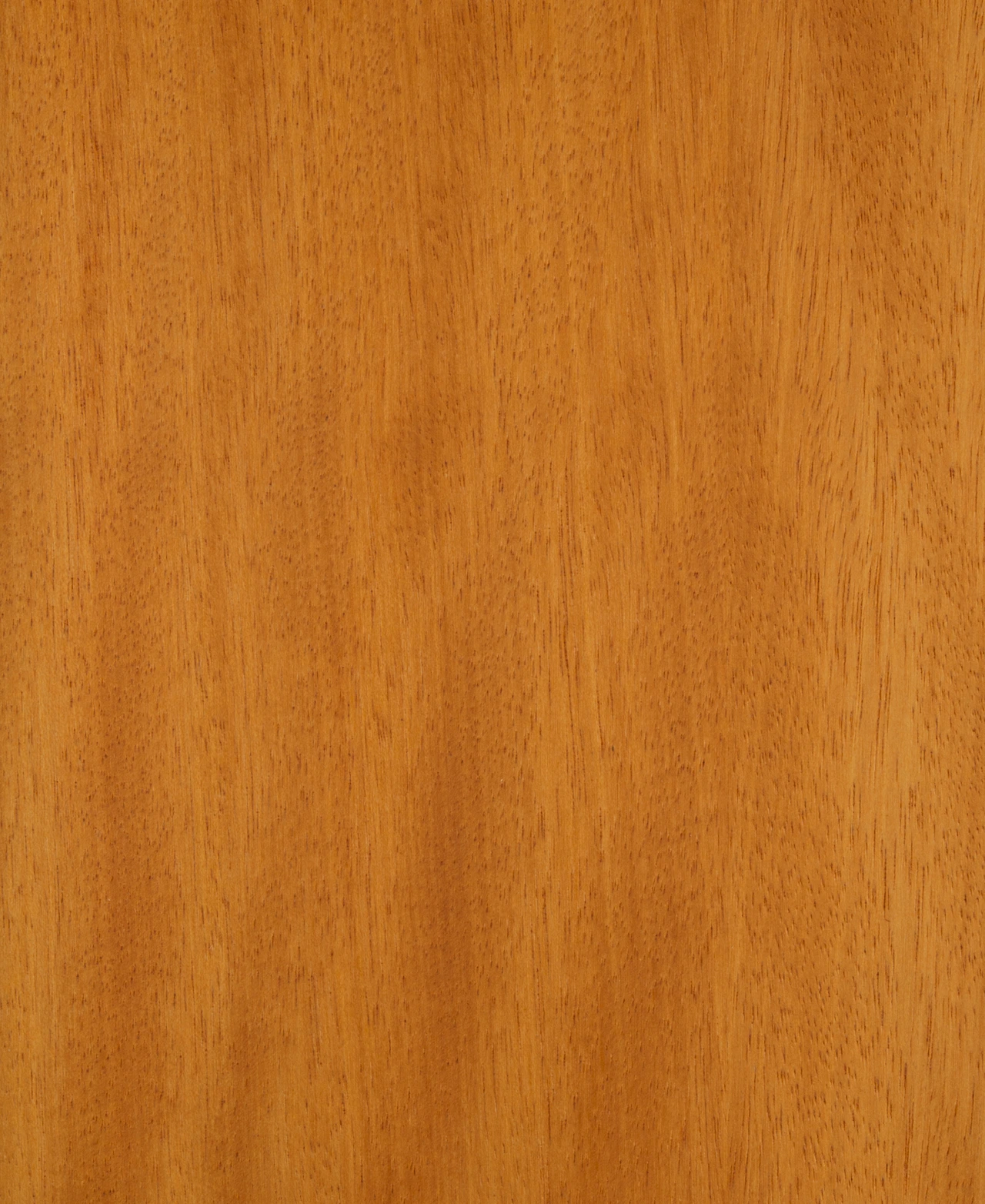 picture alternative text