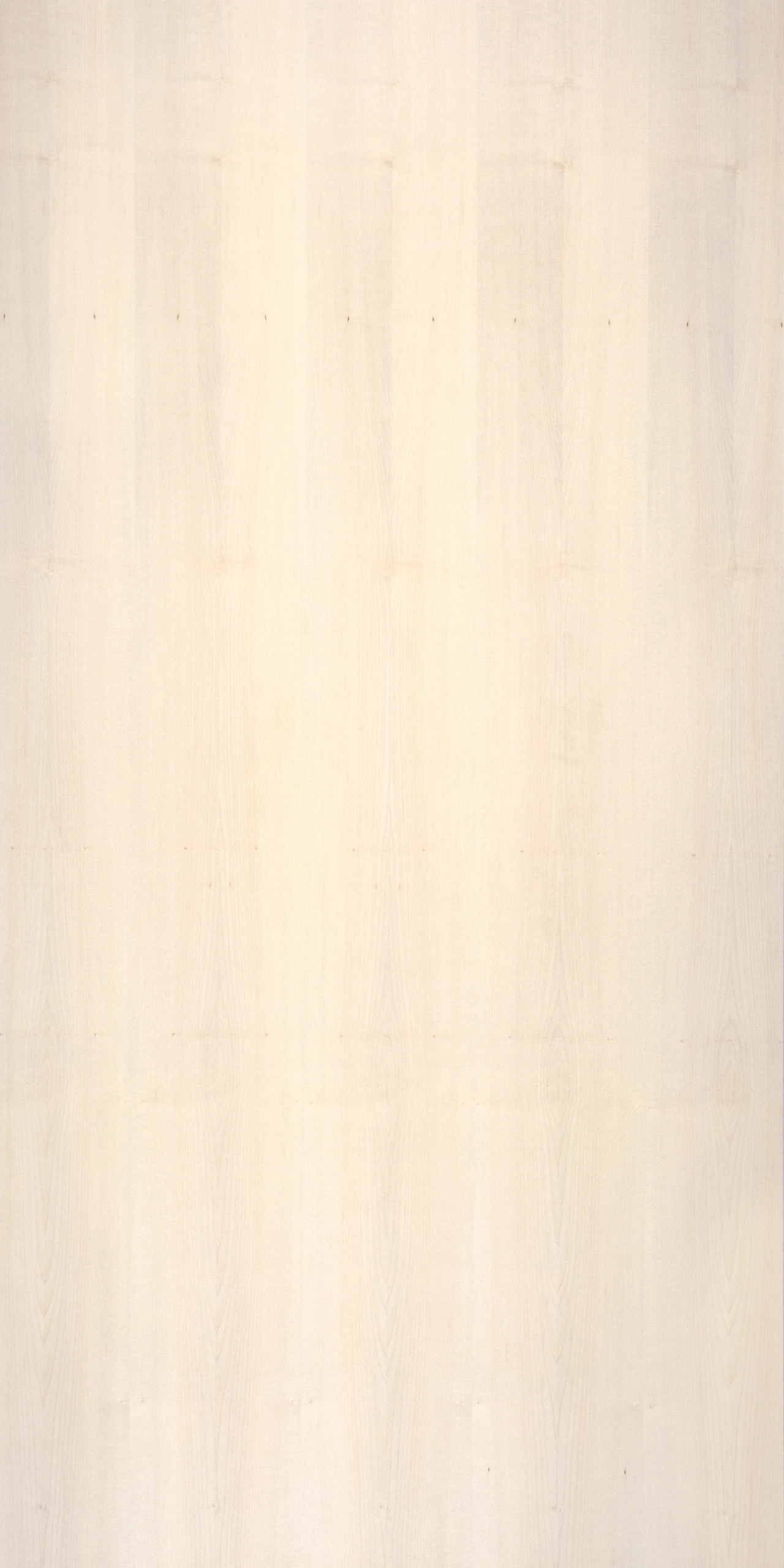 Sycomore - quarter cut book matched