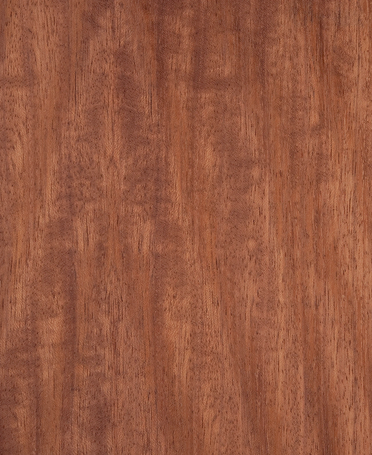 picture alternative text