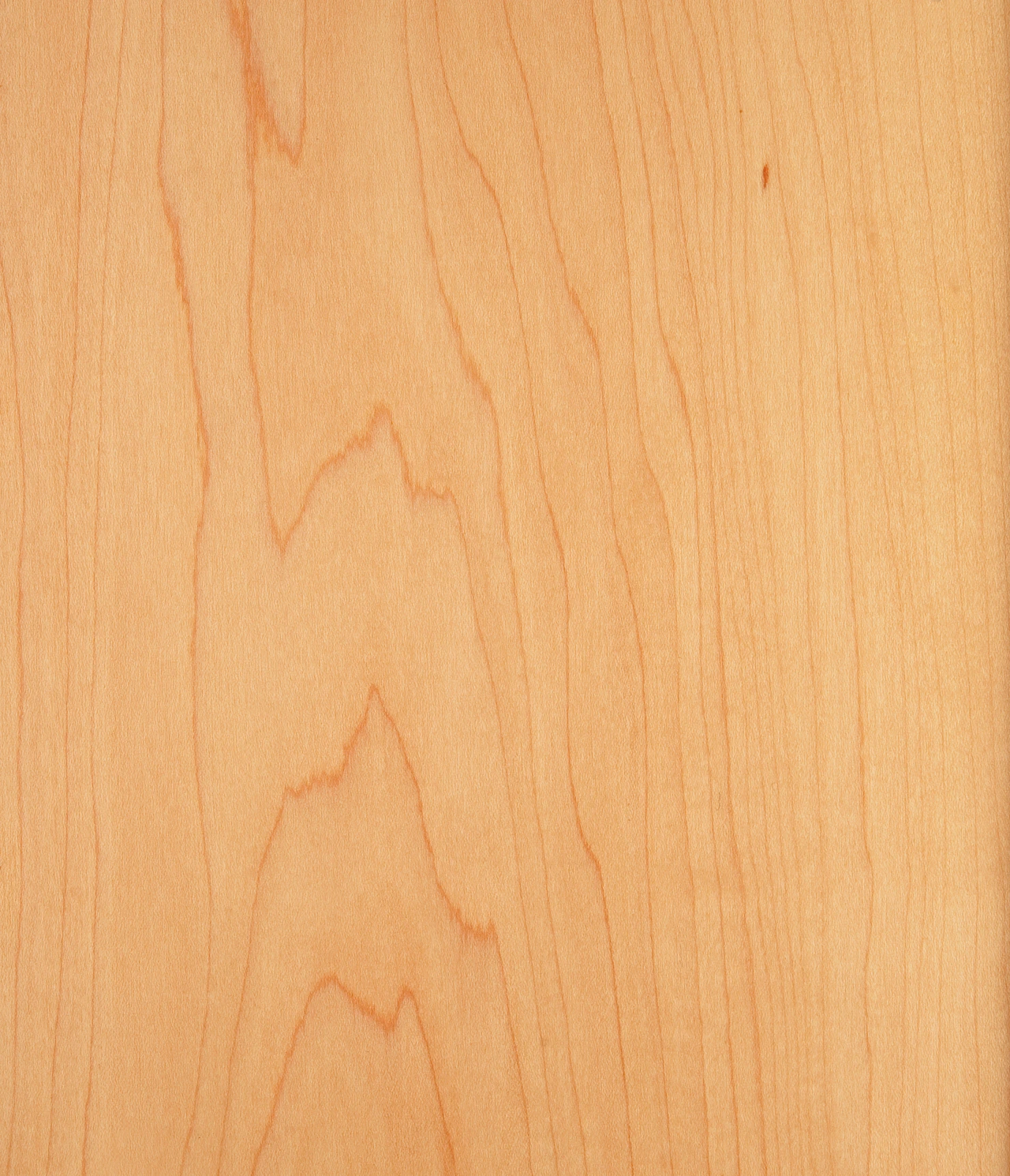 picture alternative text