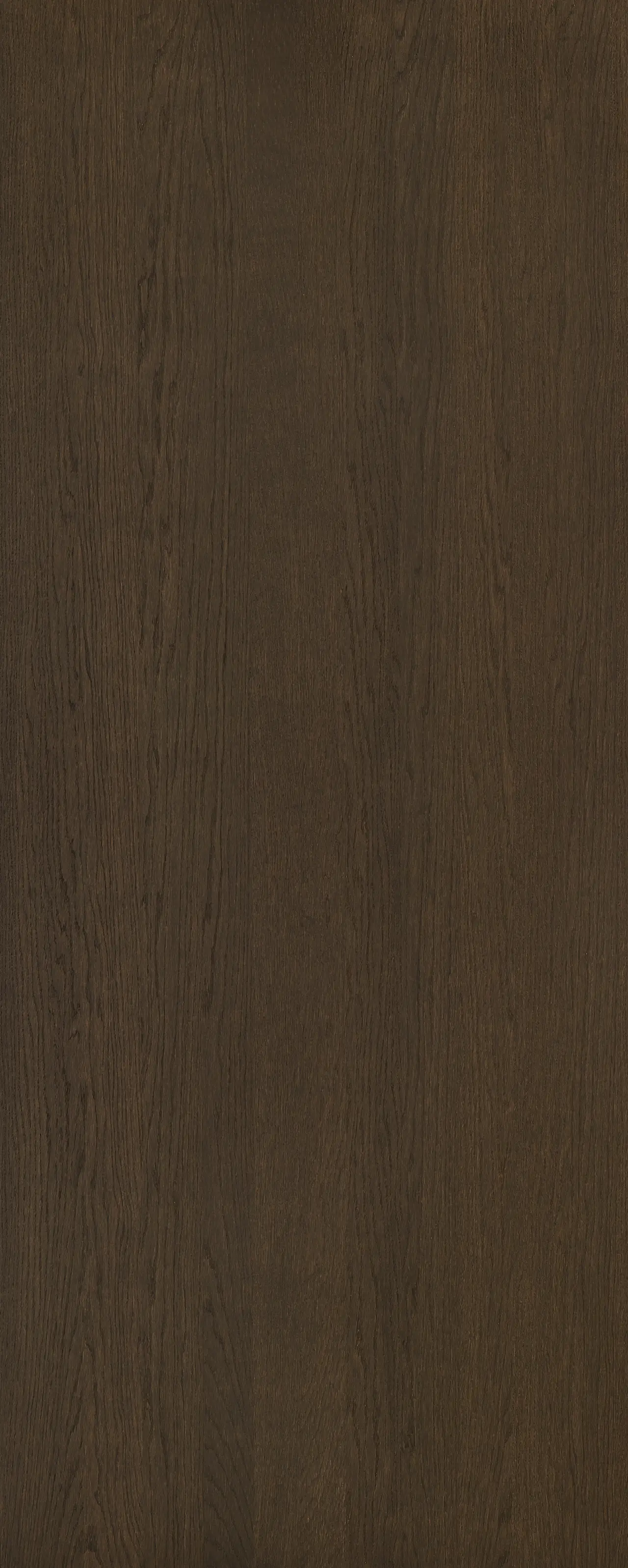 picture alternative text