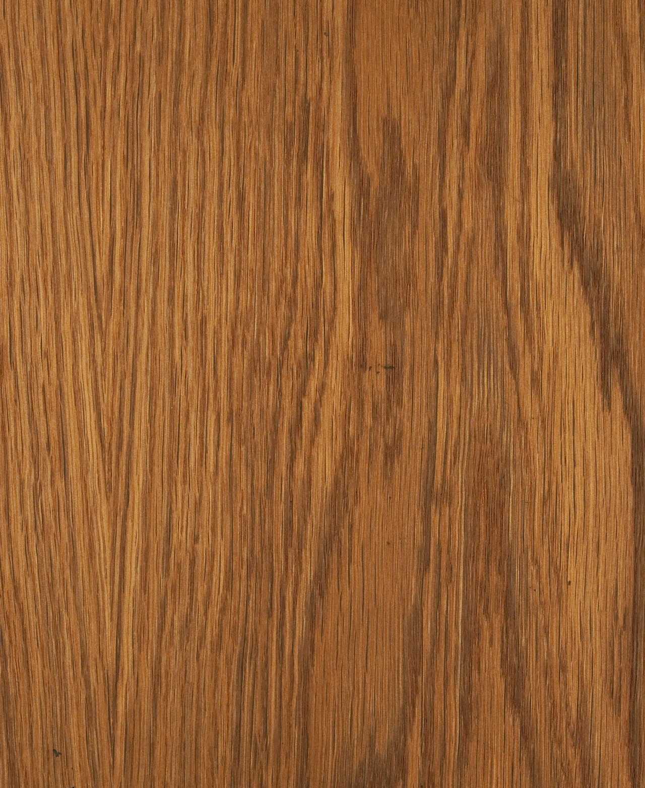 picture alternative text