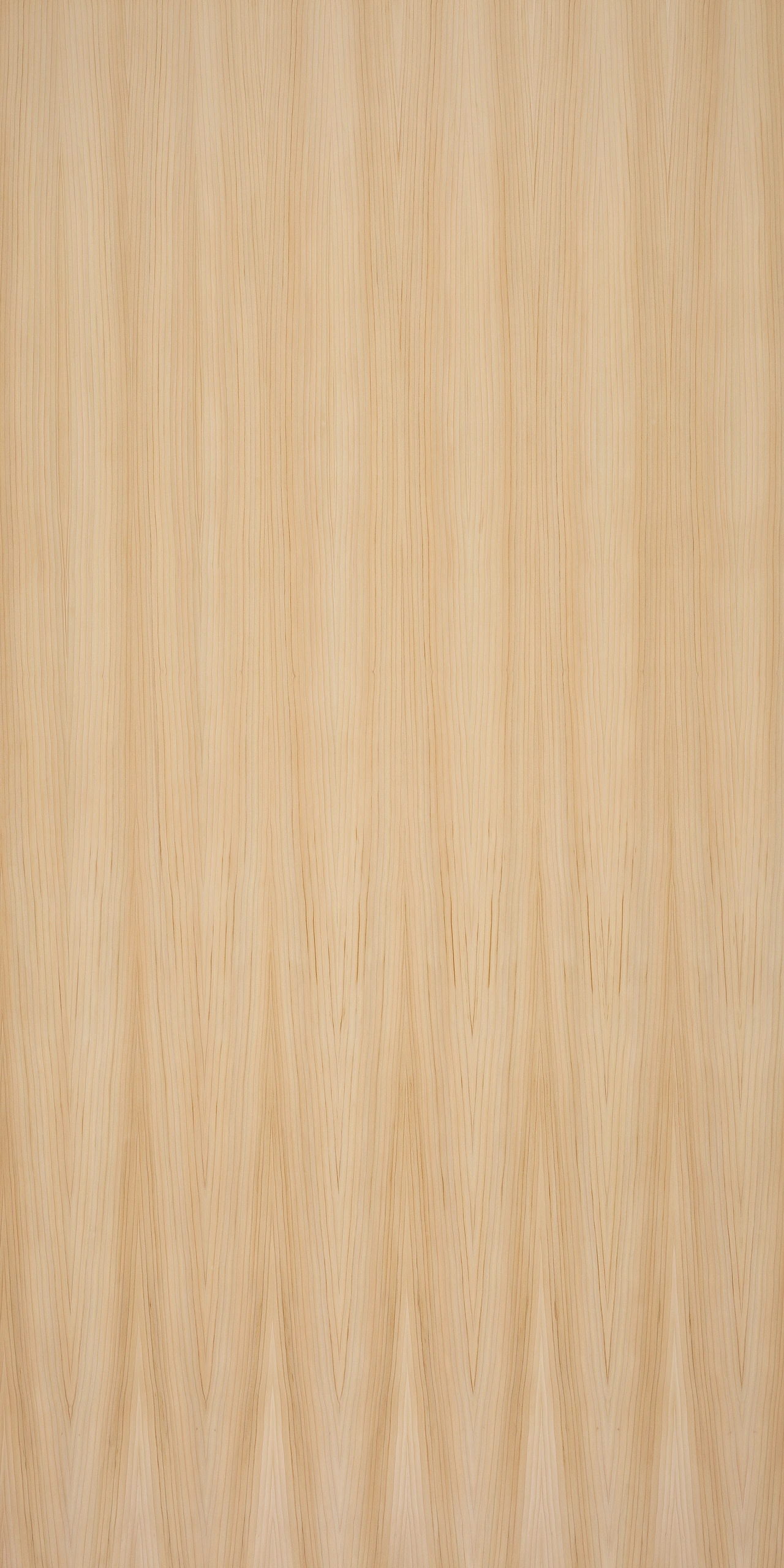 picture alternative text