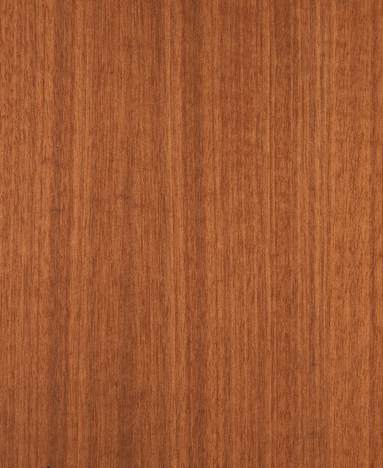 picture alternative text