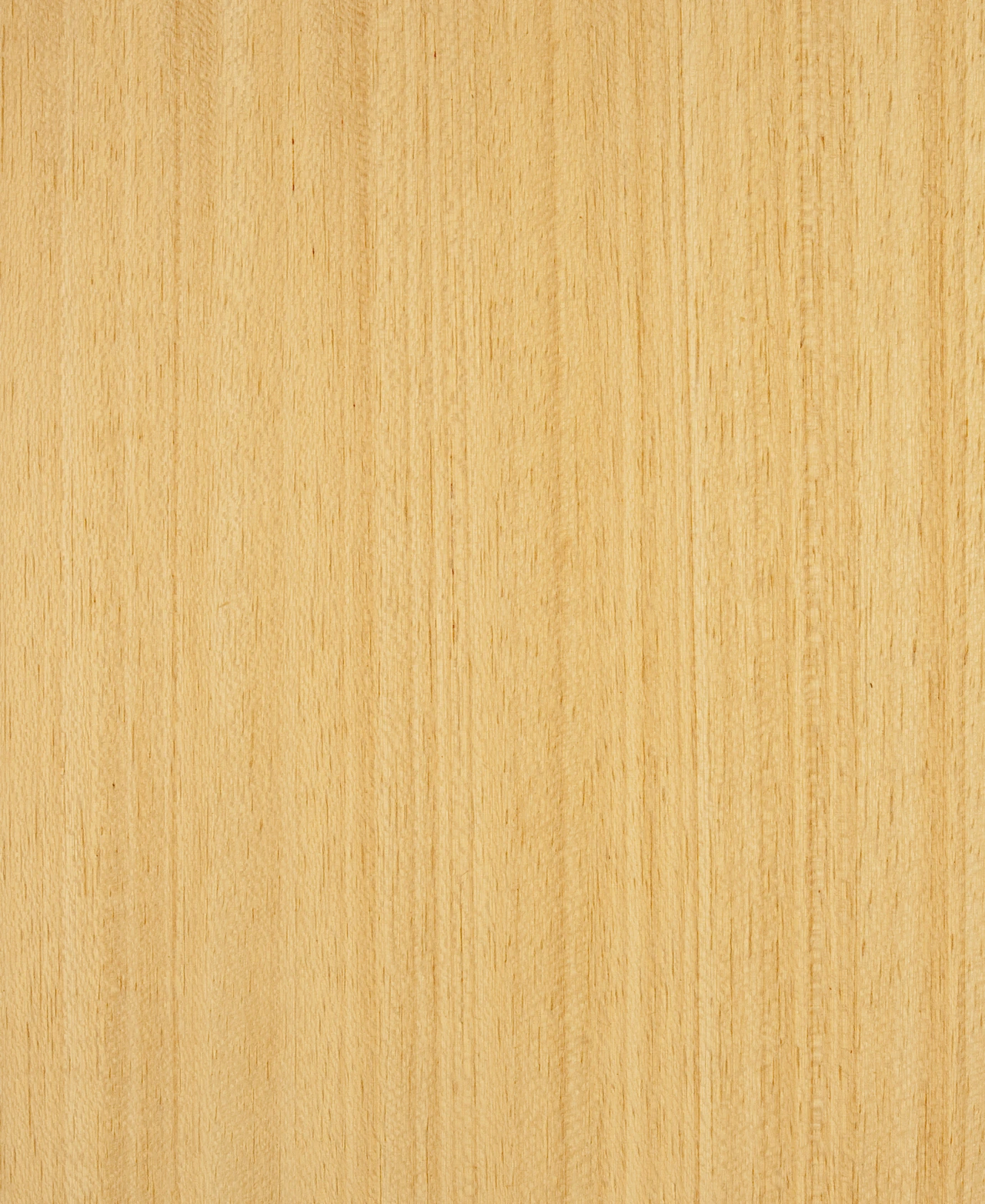 picture alternative text