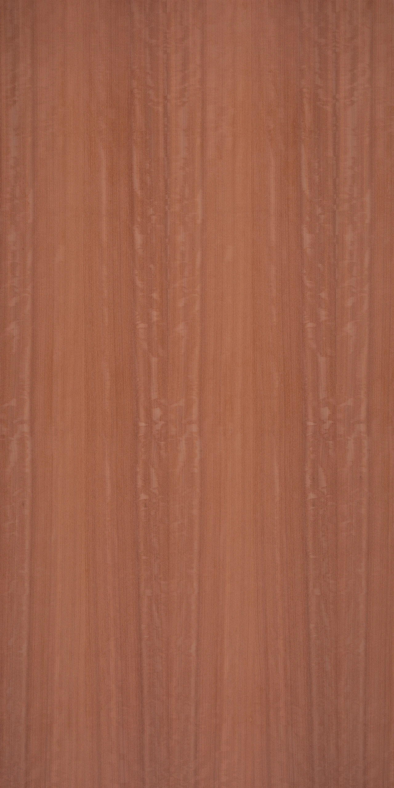 picture alternative text