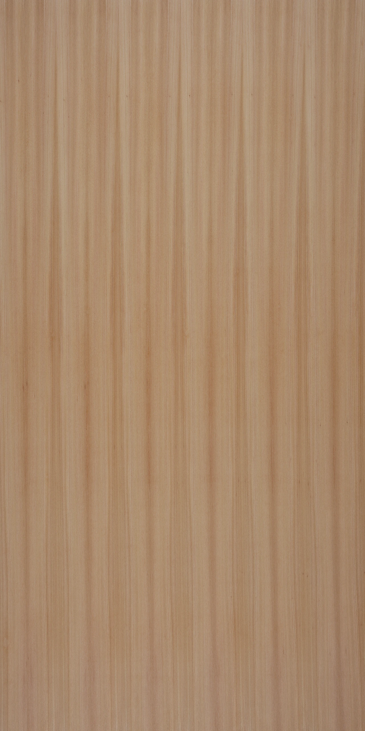 picture alternative text