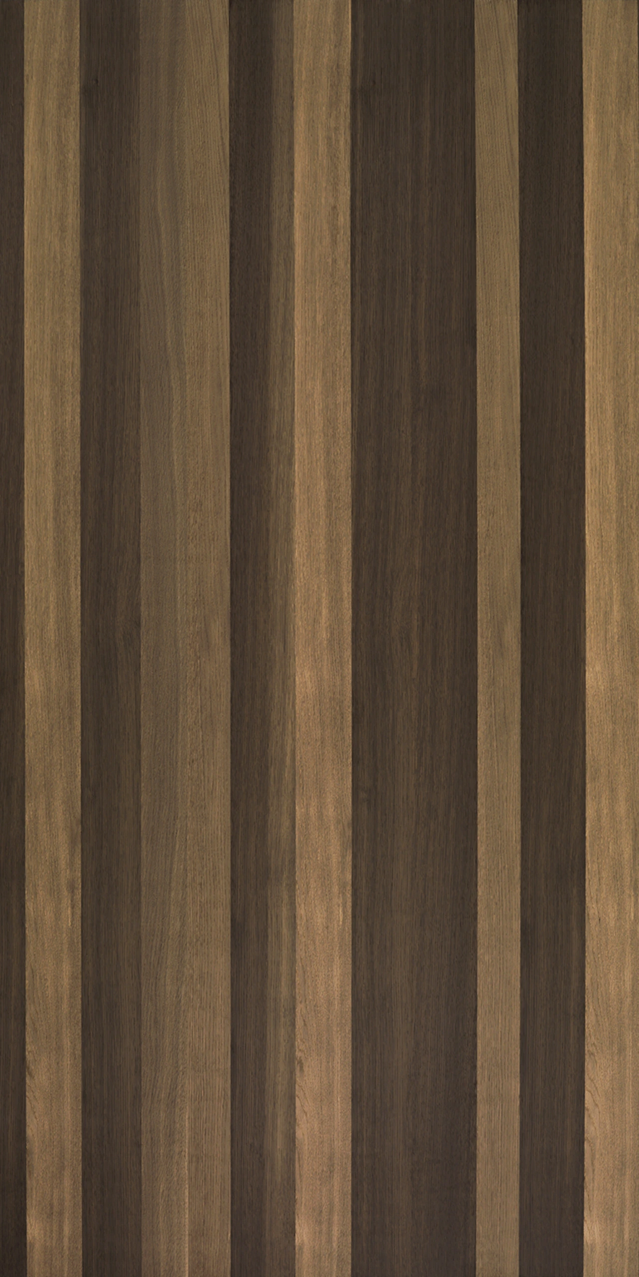 picture alternative text