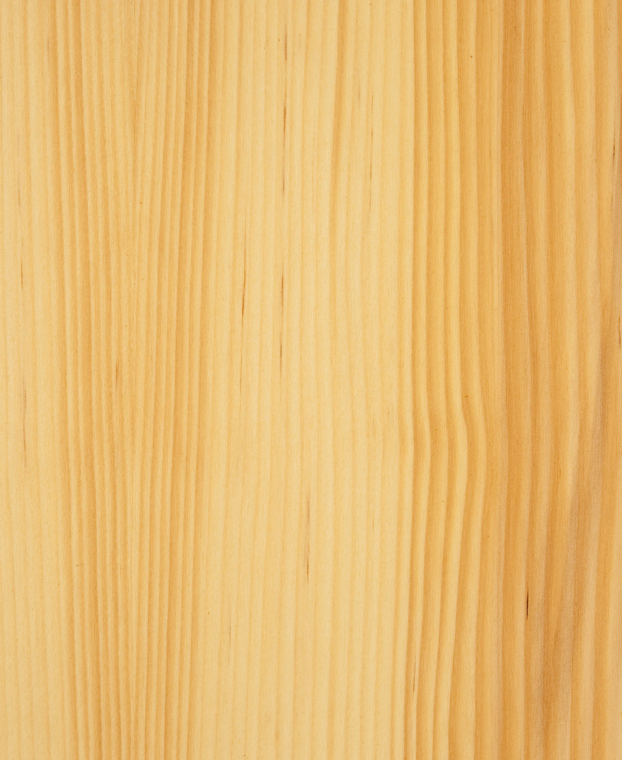 picture alternative text