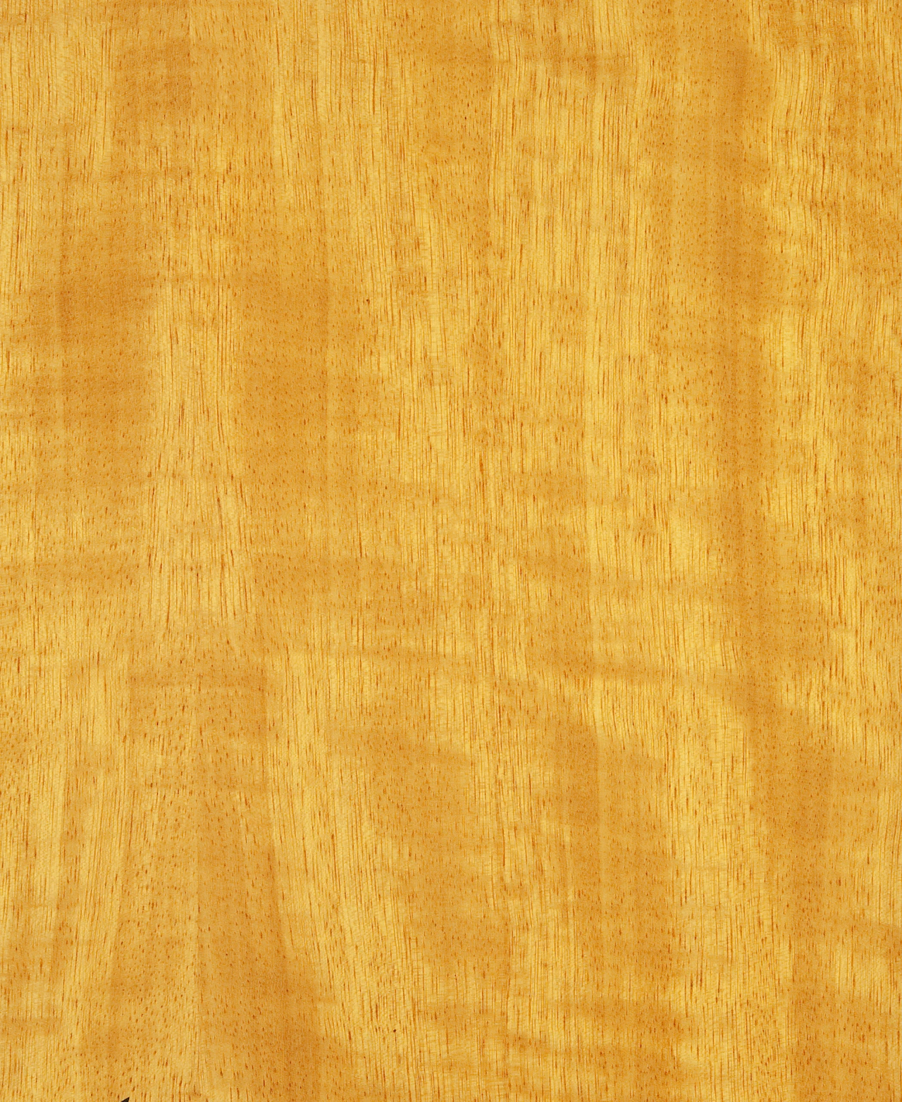 picture alternative text