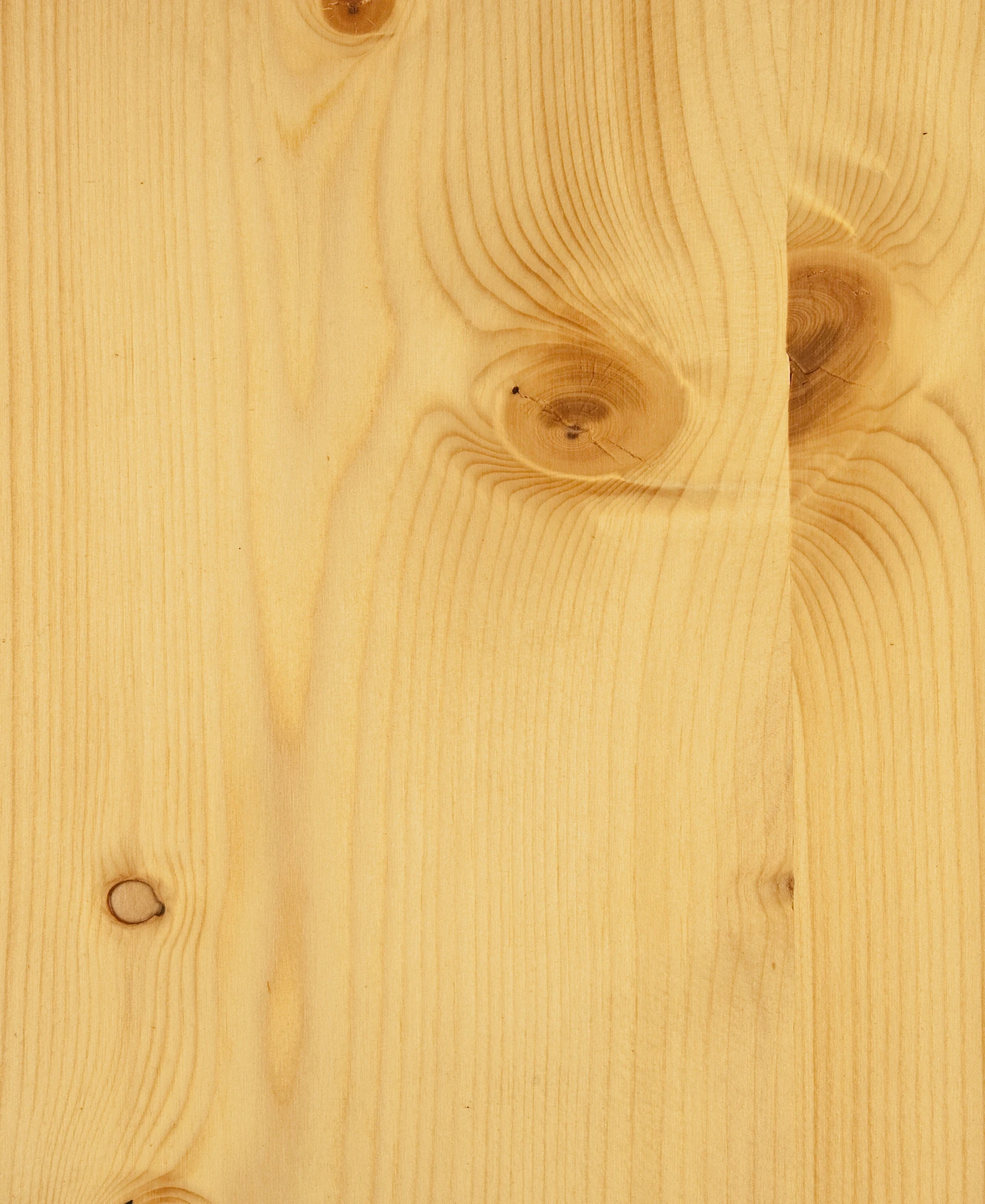 picture alternative text