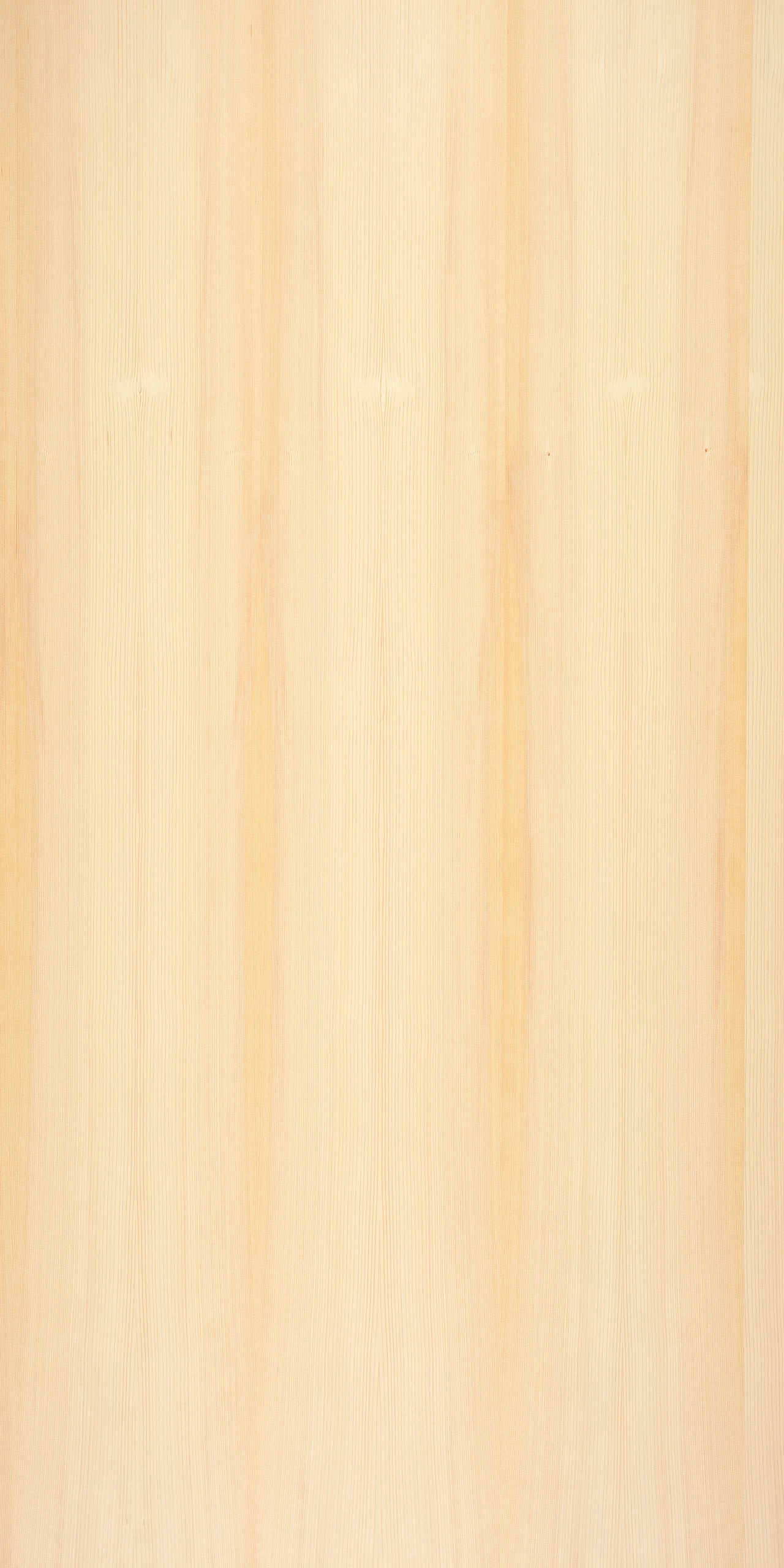 picture alternative text