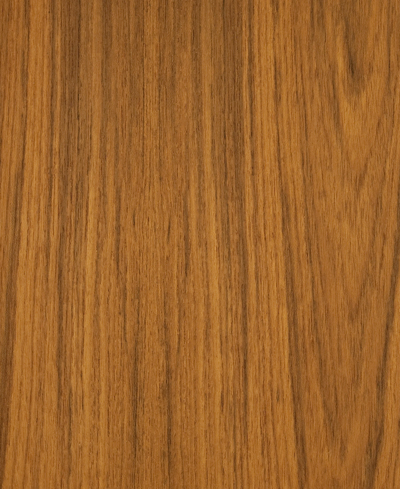 picture alternative text