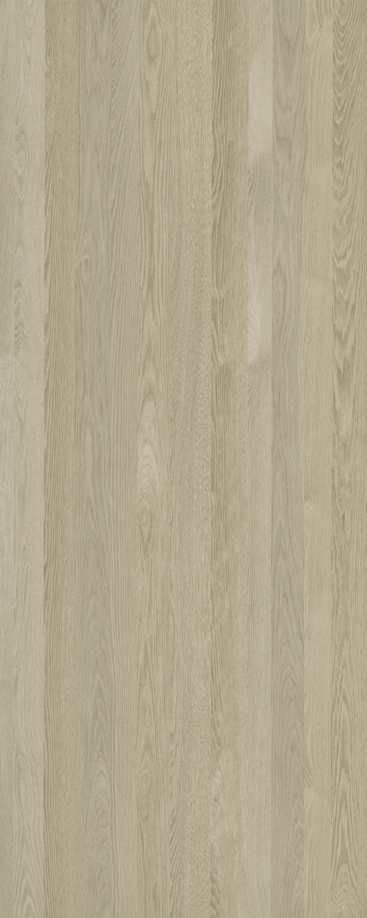 picture alternative text