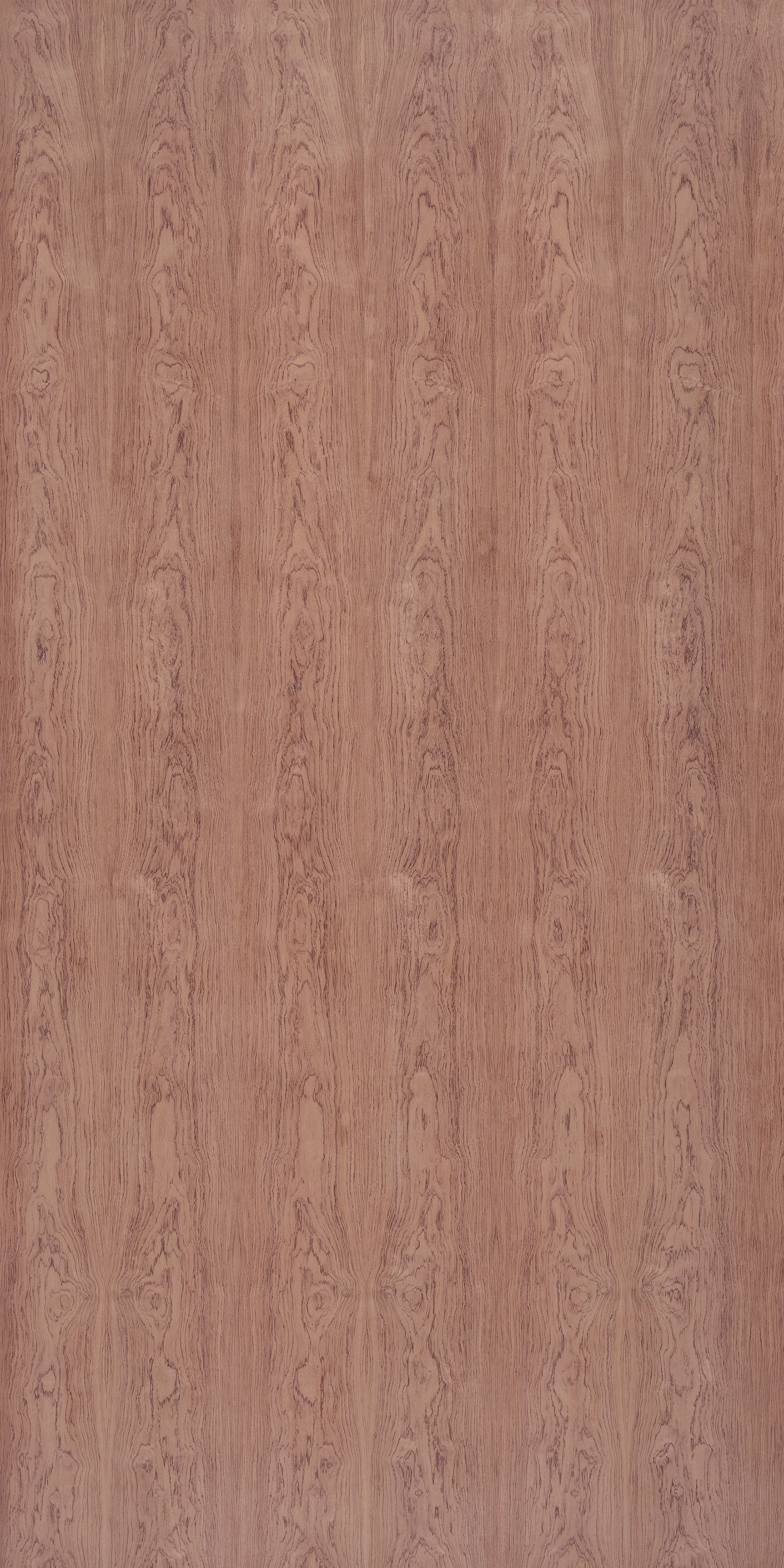 picture alternative text