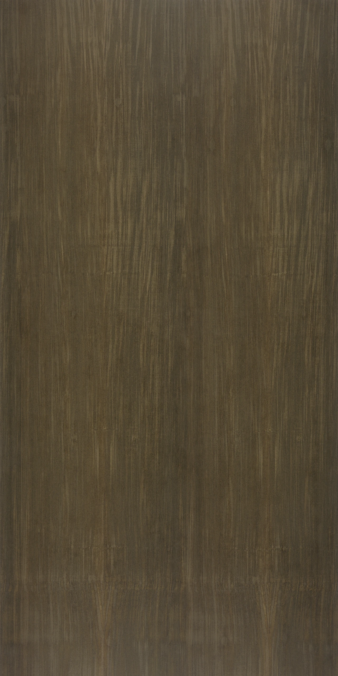 picture alternative text