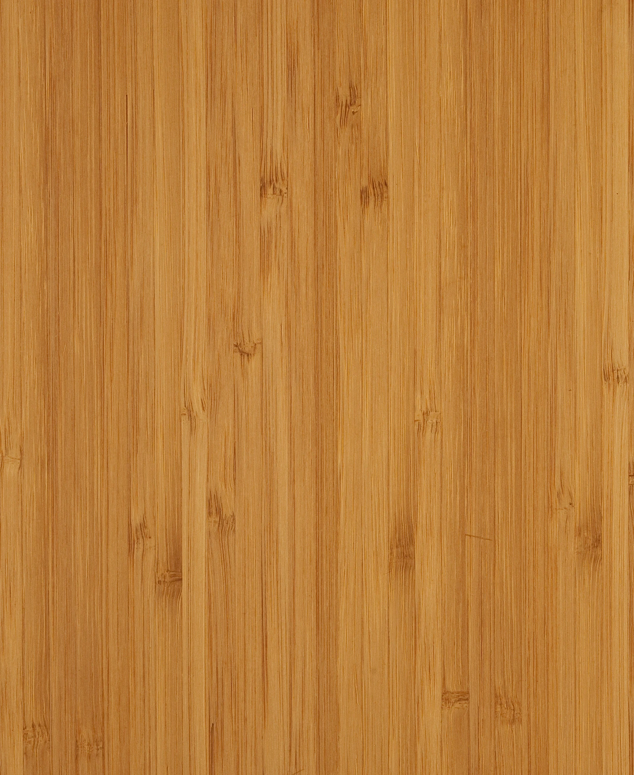 picture alternative text