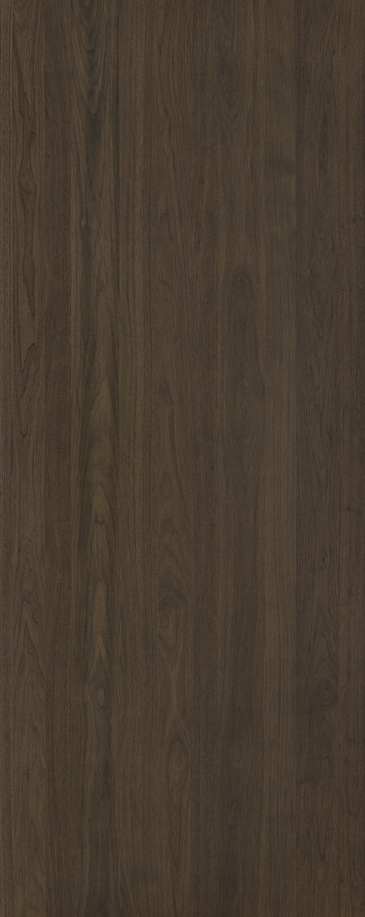 picture alternative text