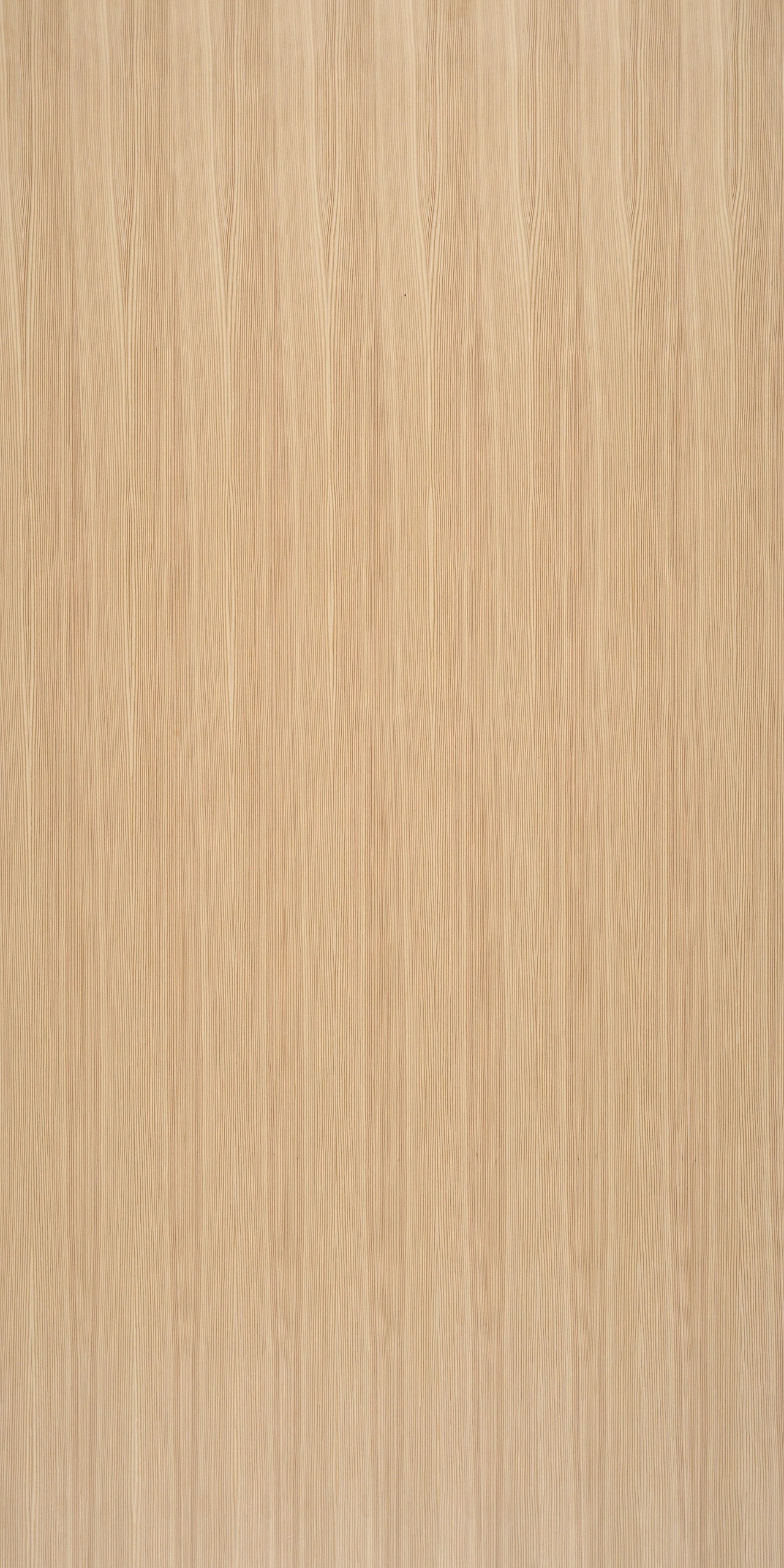 picture alternative text