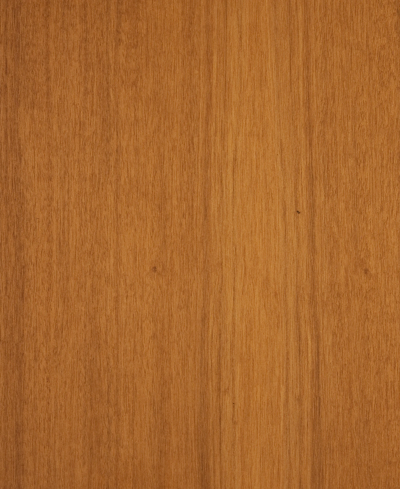 picture alternative text