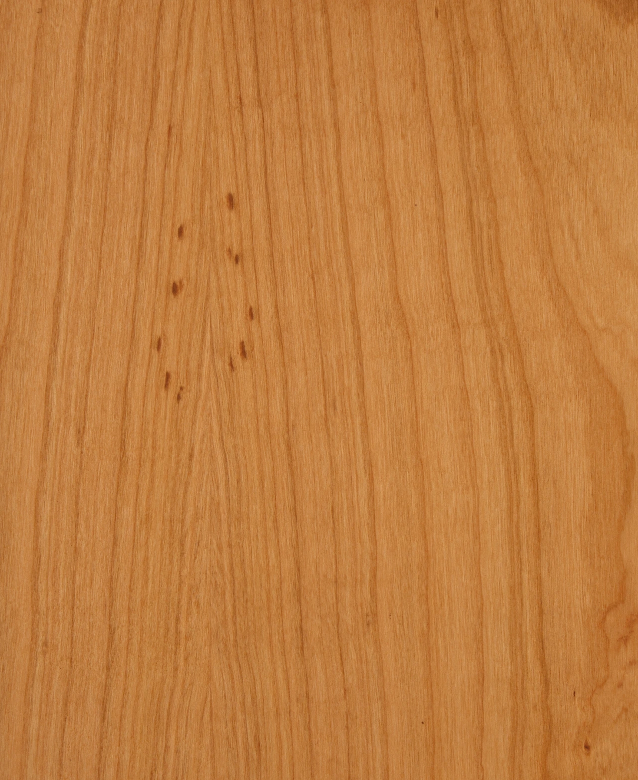 picture alternative text