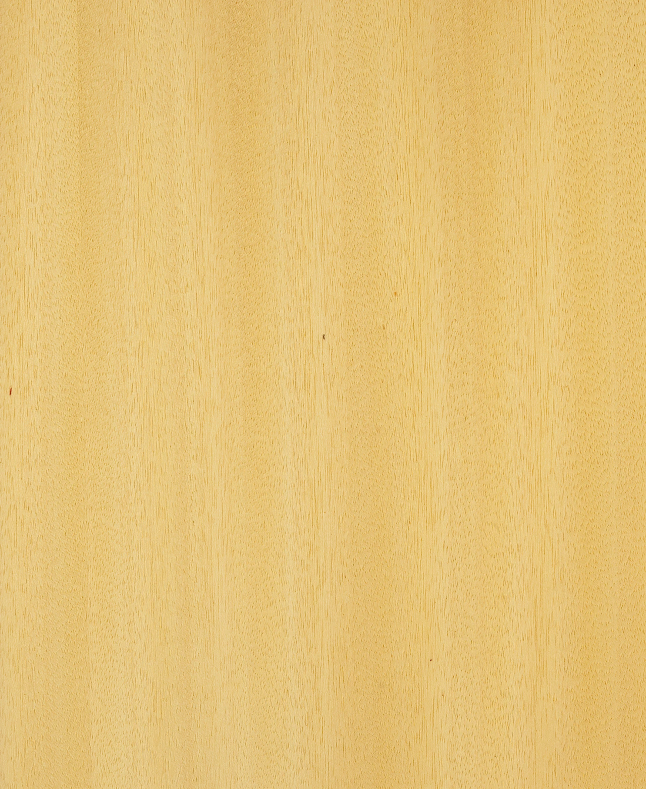 picture alternative text