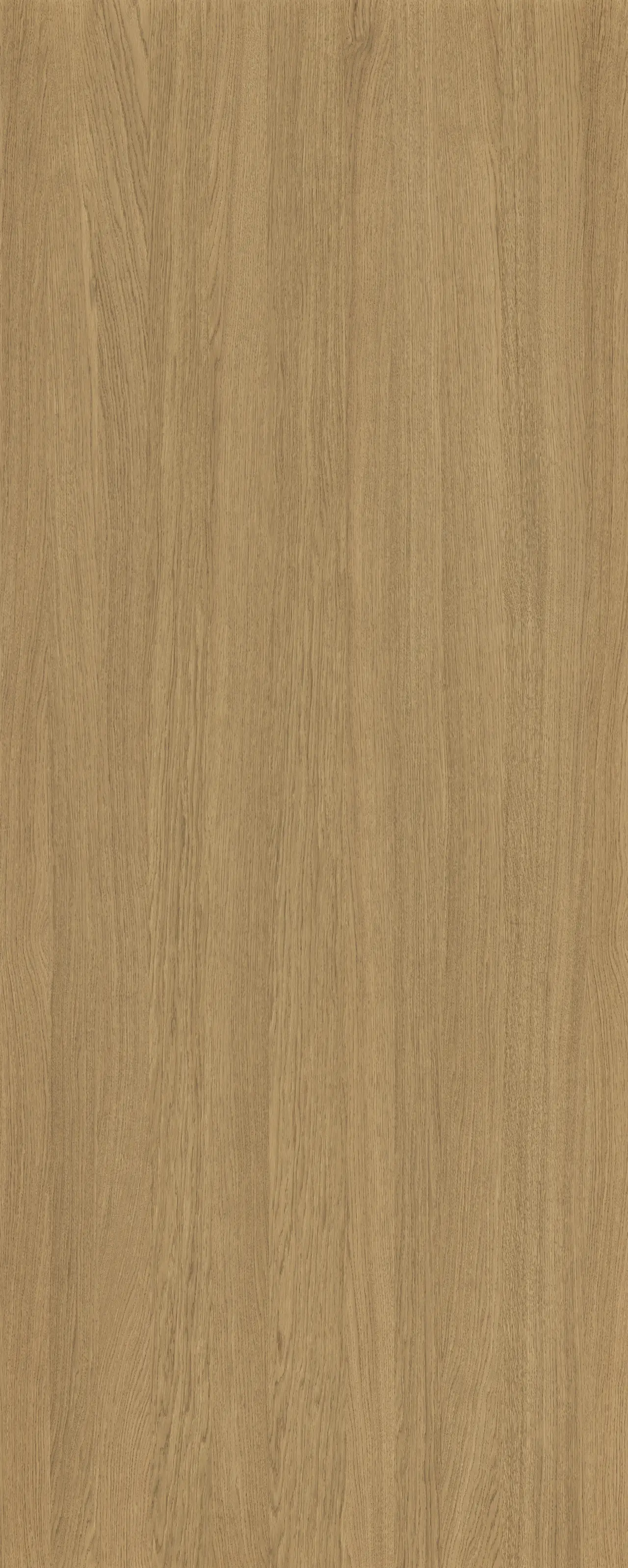 picture alternative text