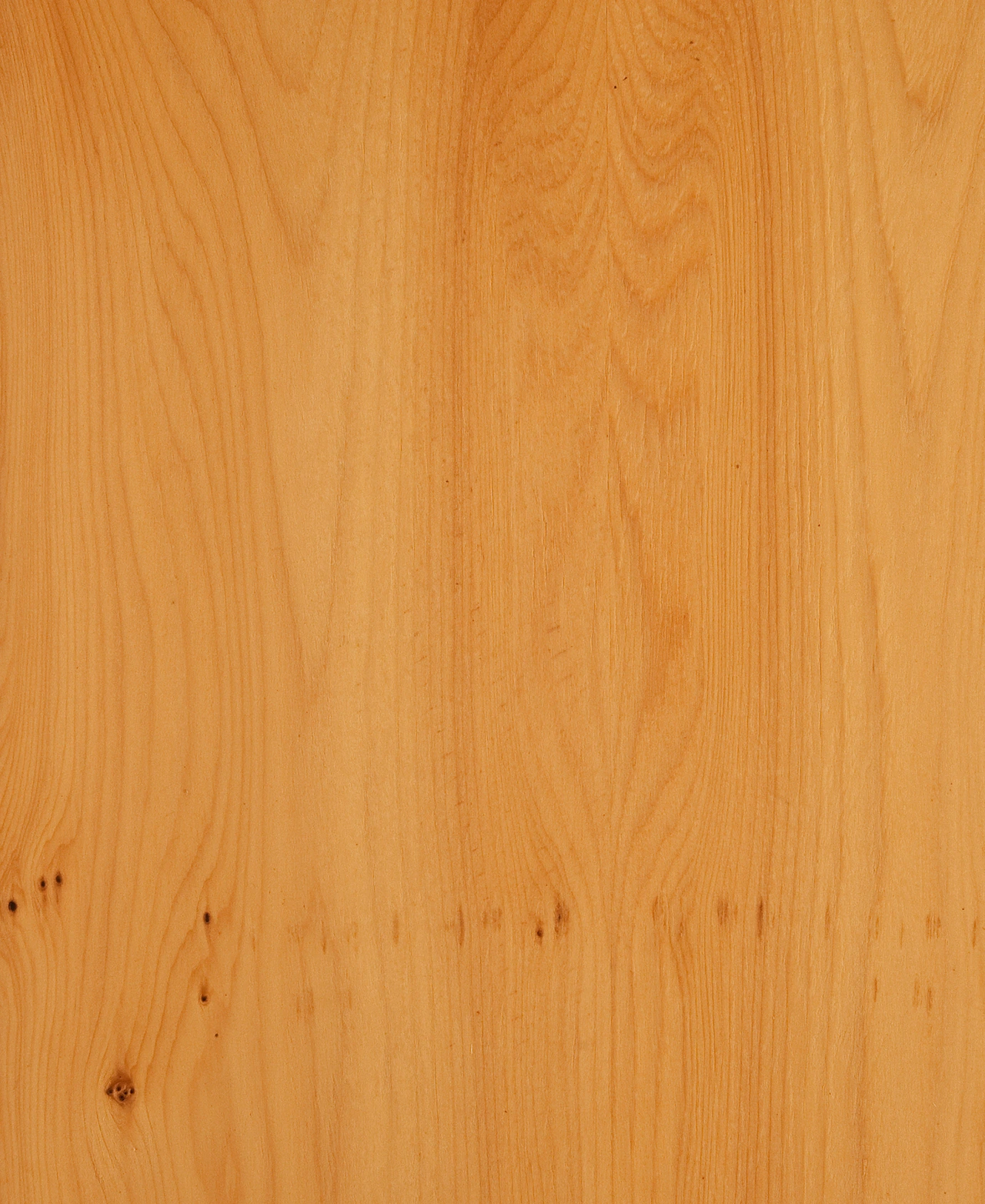 picture alternative text