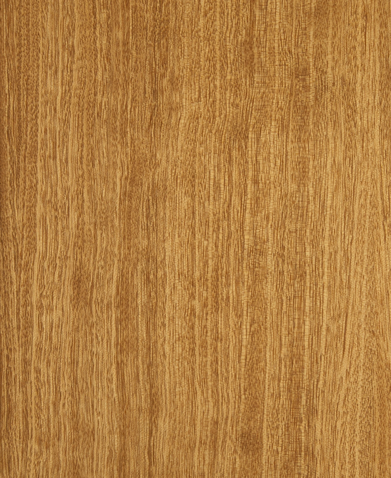 picture alternative text