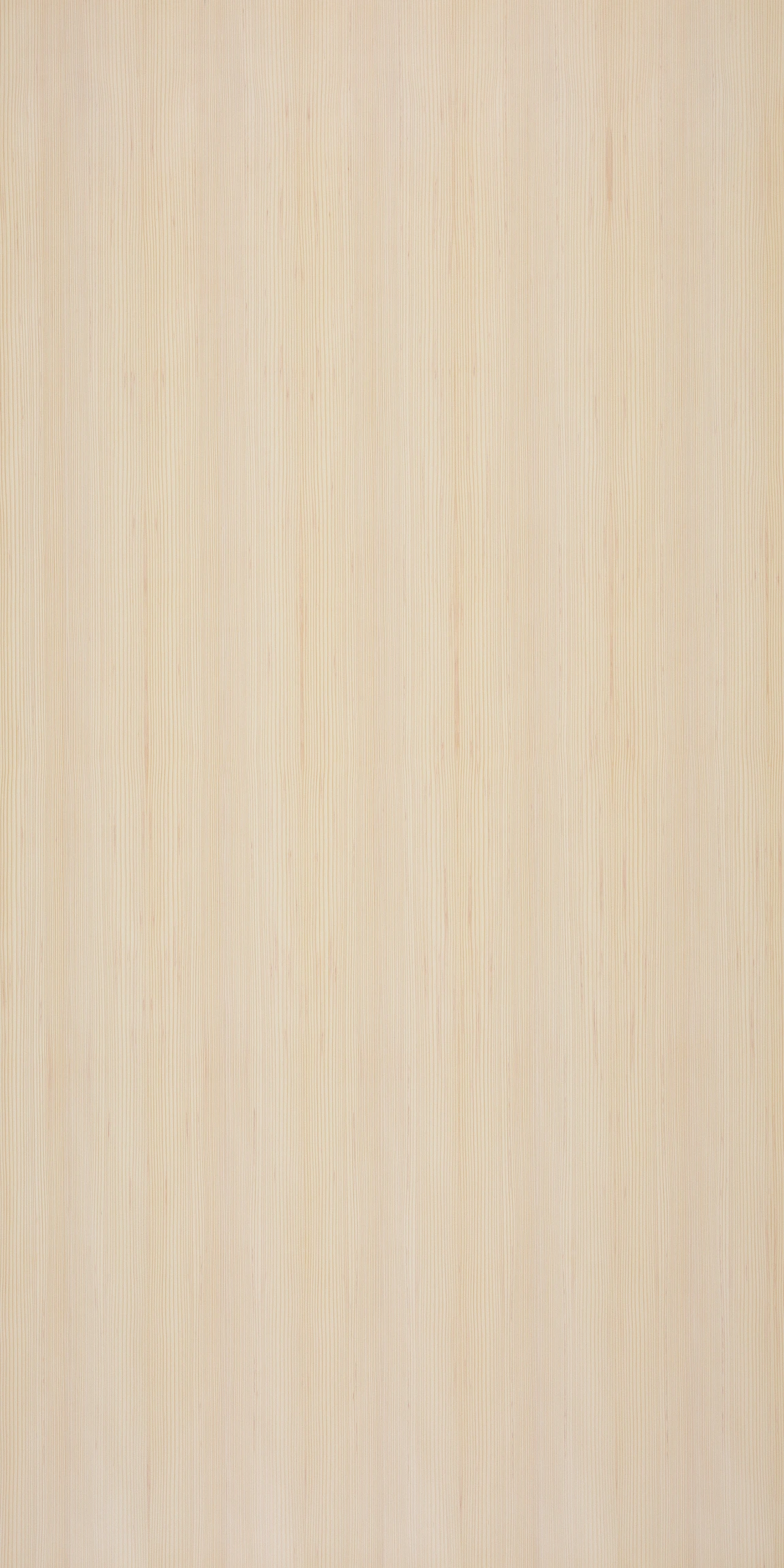 picture alternative text