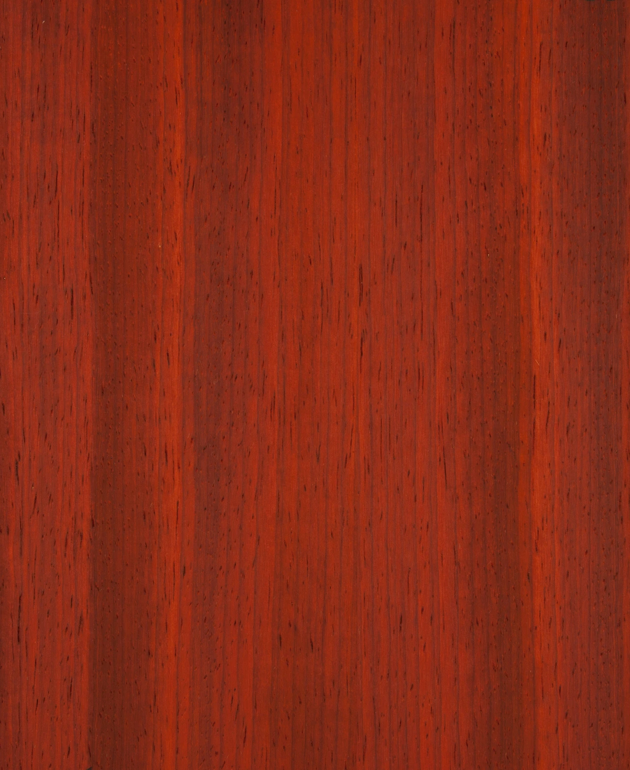 picture alternative text