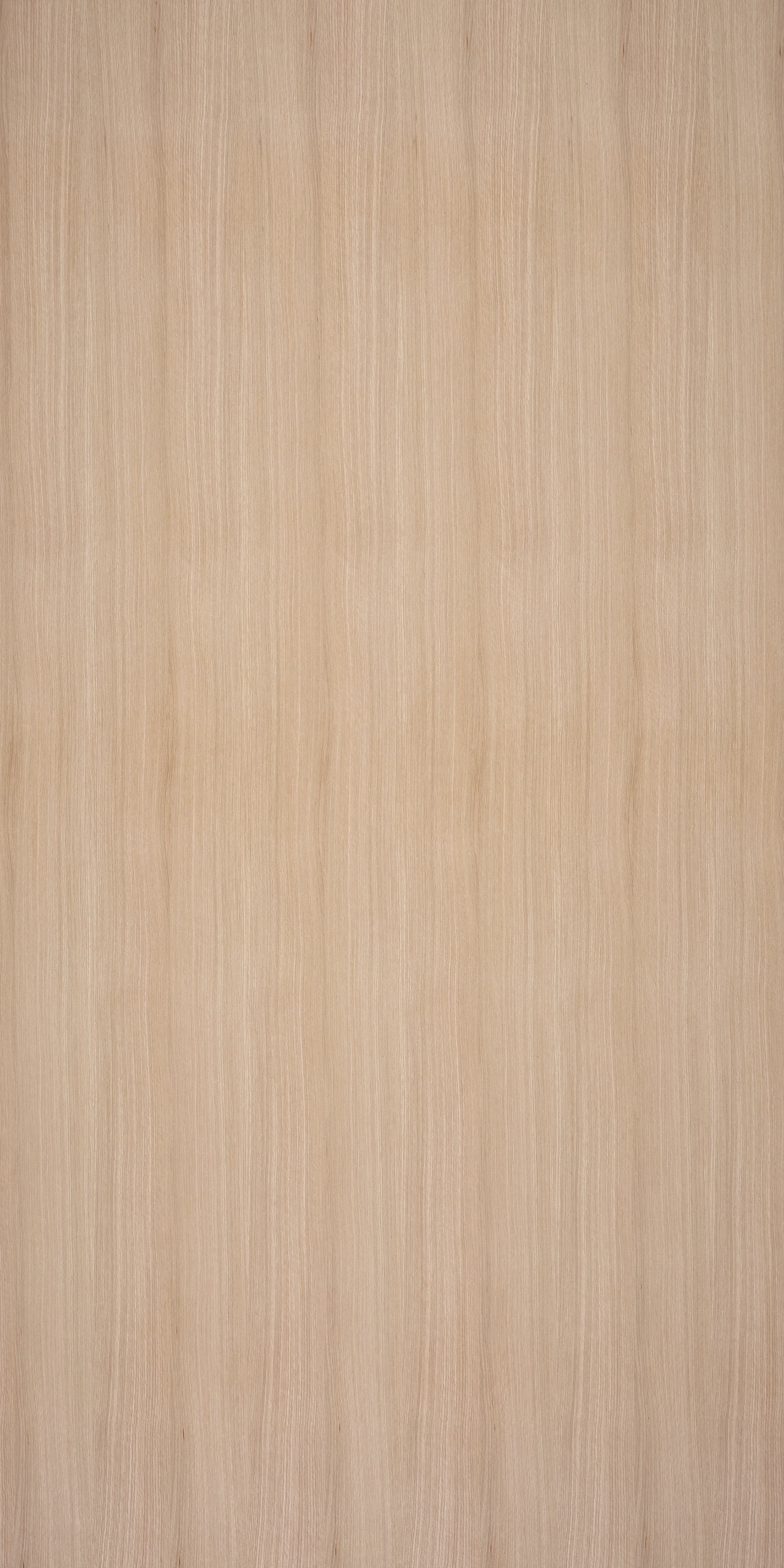 picture alternative text