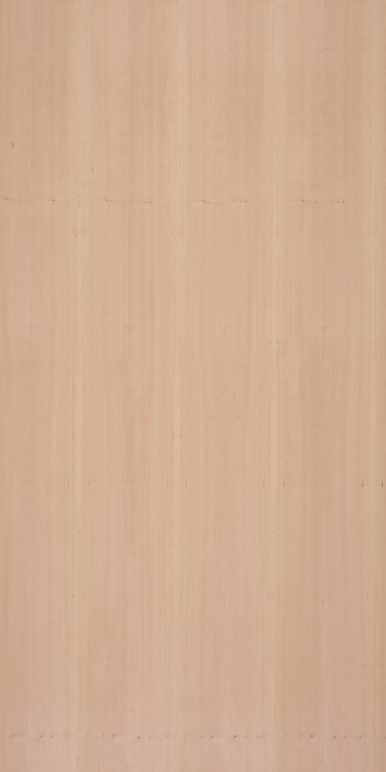 picture alternative text