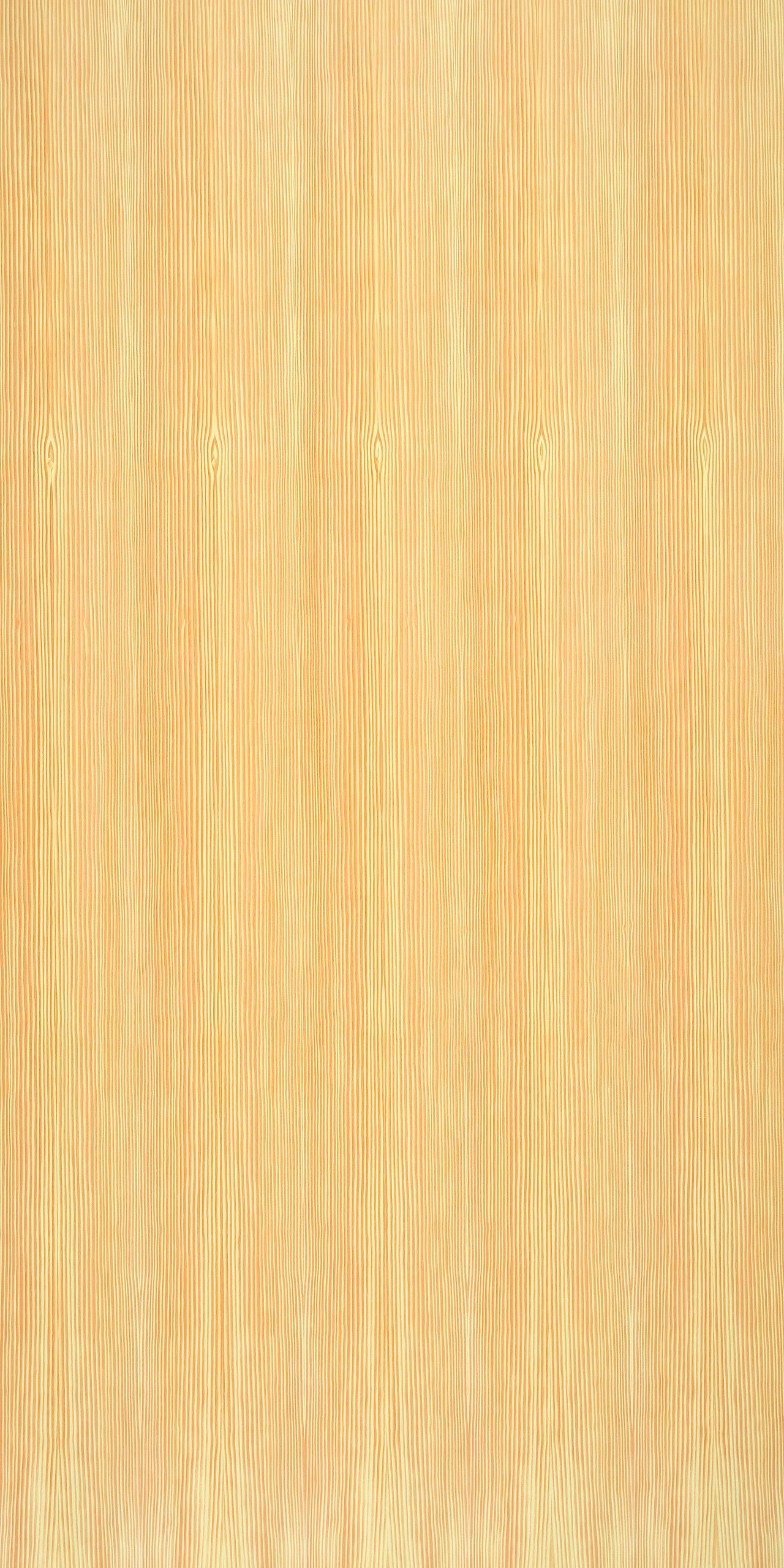 picture alternative text