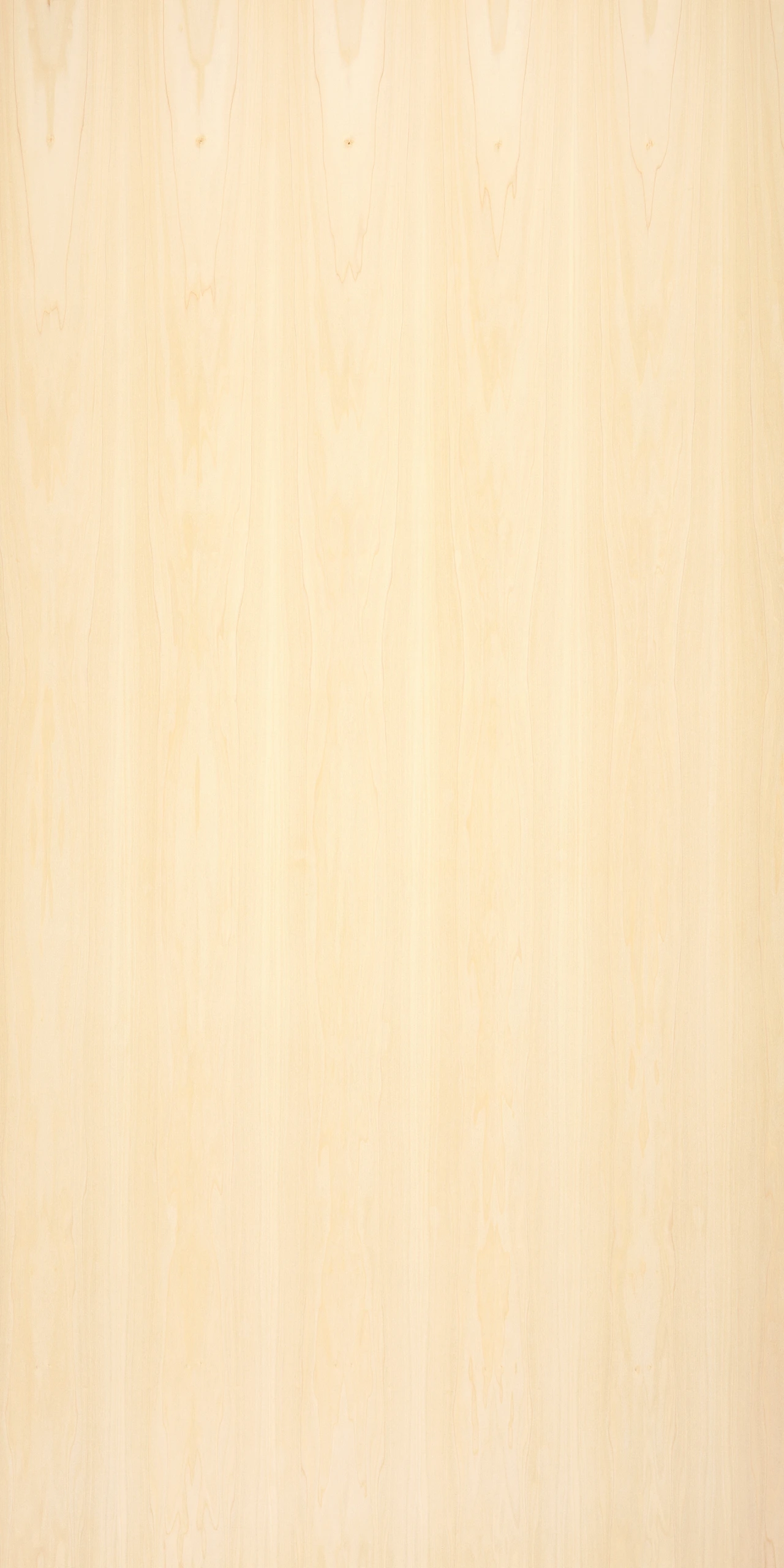 Poplar American White - crown cut book matched
