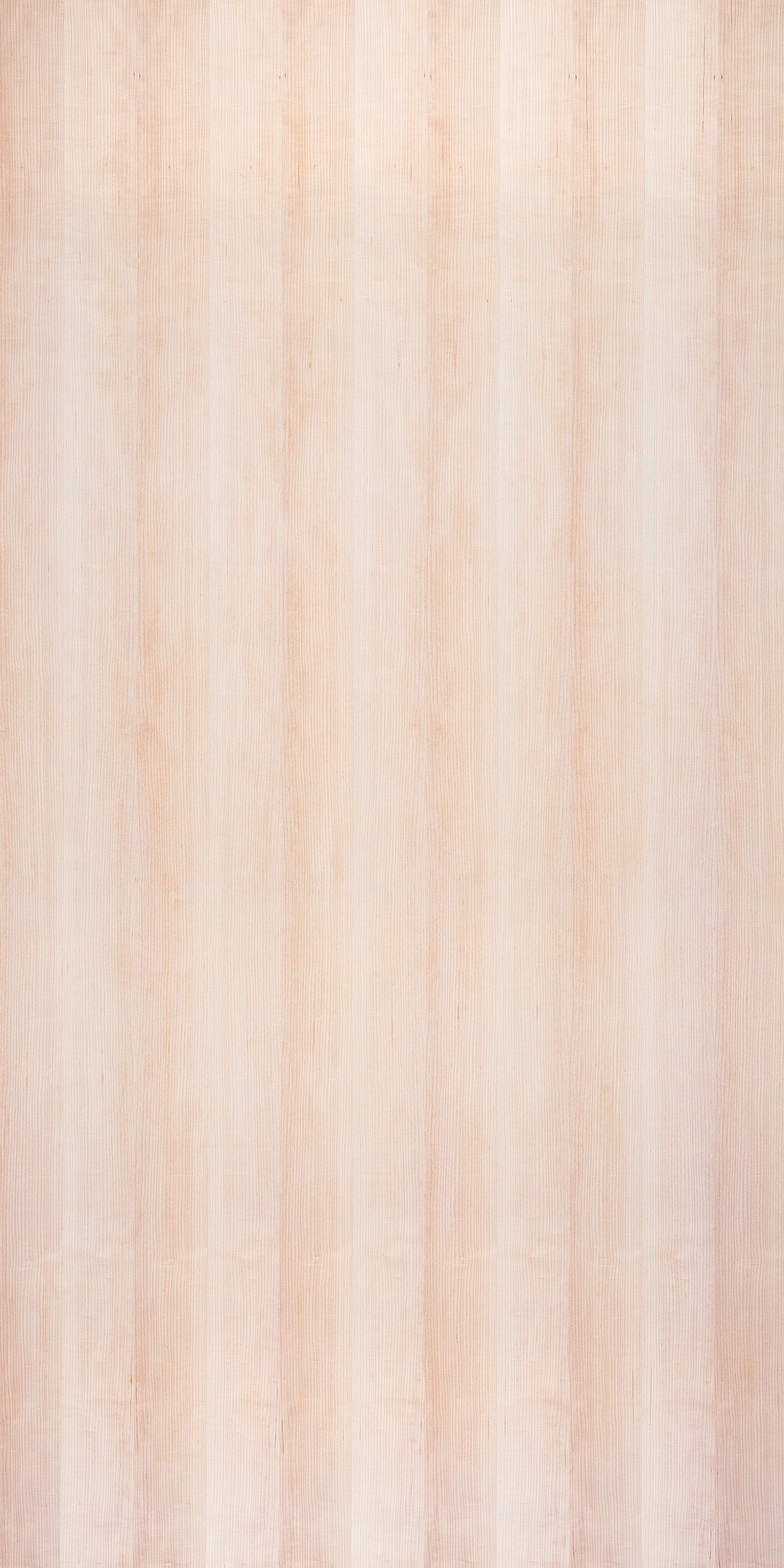 picture alternative text