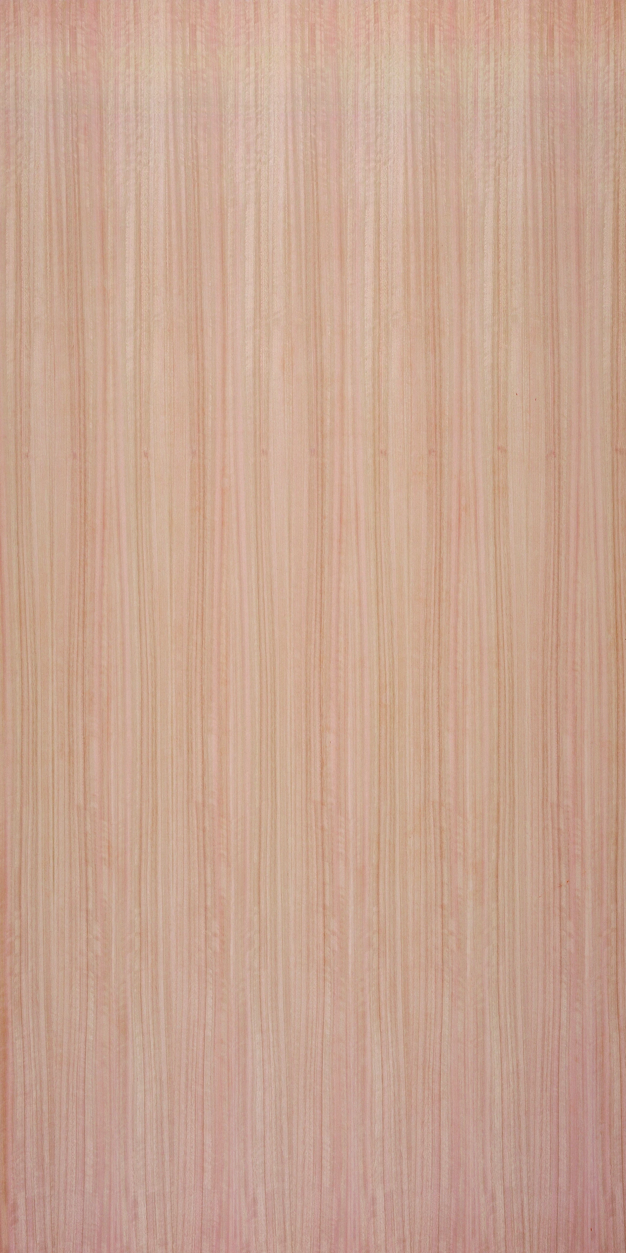 picture alternative text