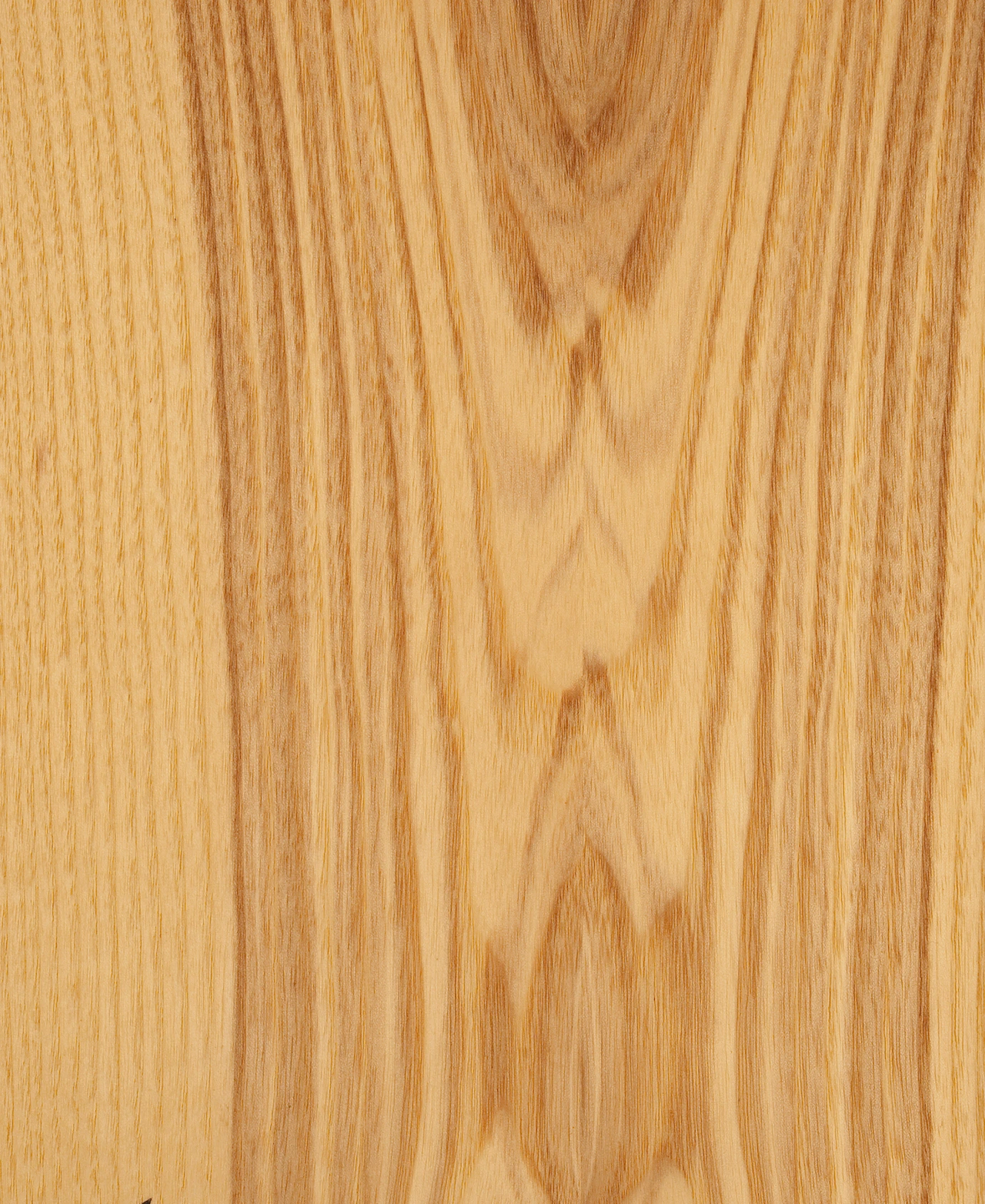 picture alternative text