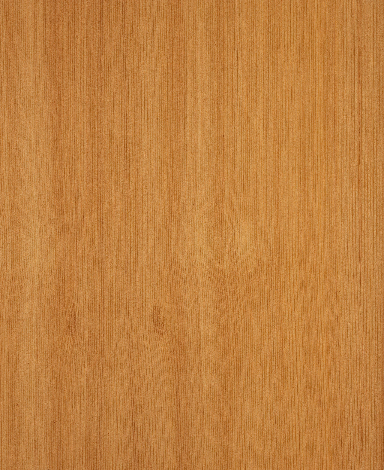 picture alternative text