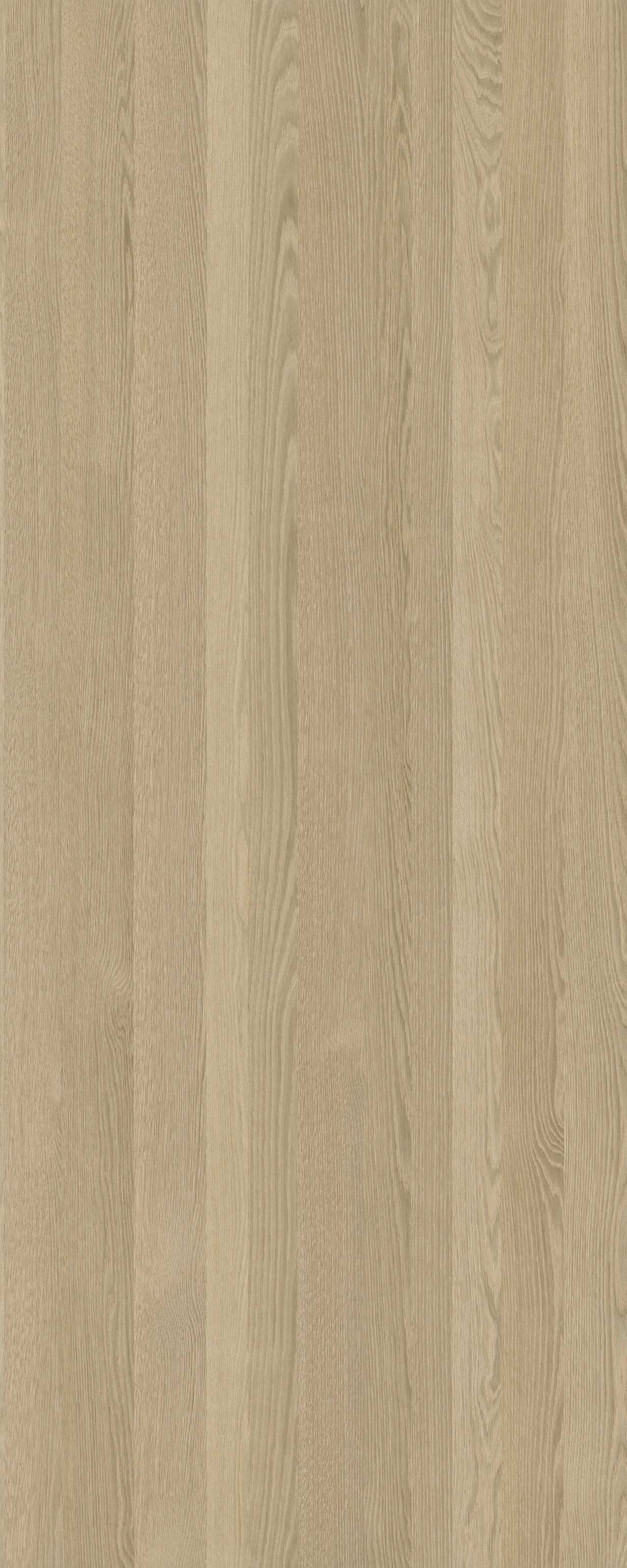 picture alternative text