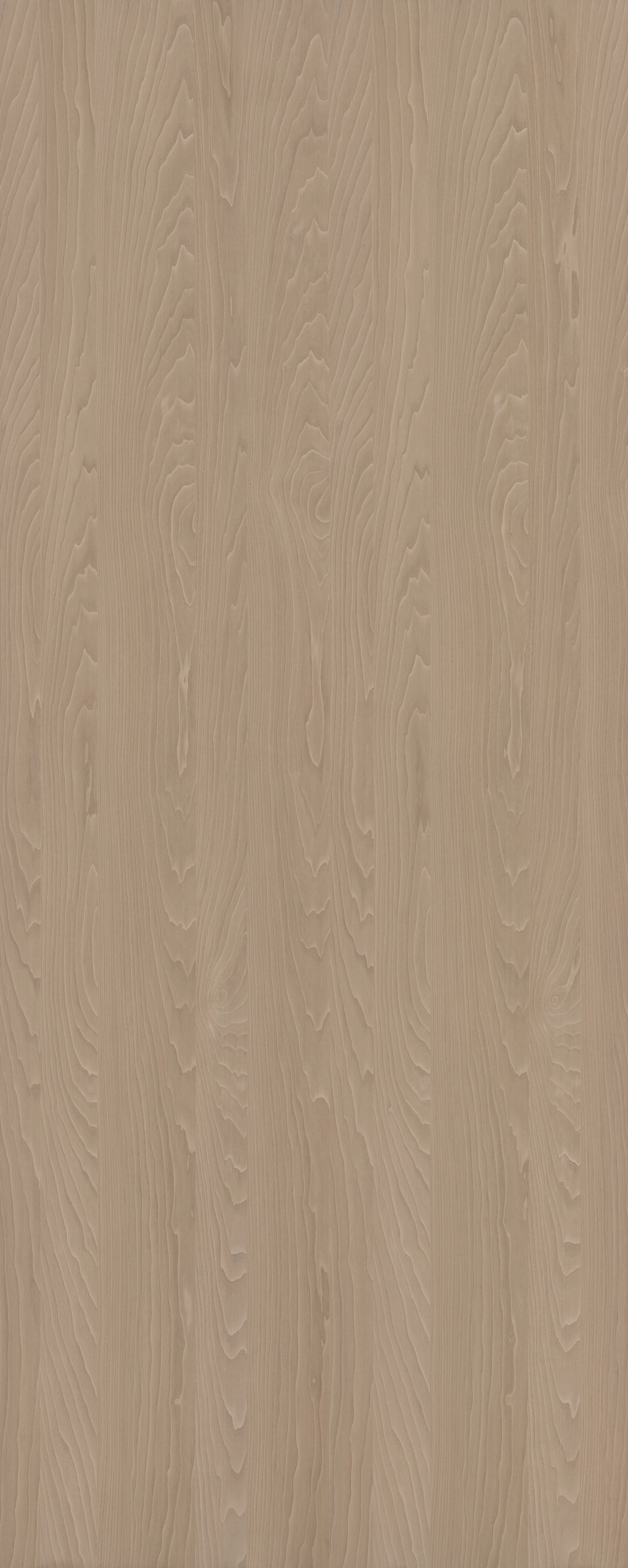 picture alternative text